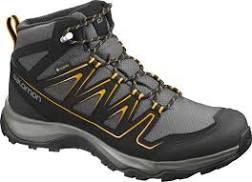 Chaussures de randonnée Salomon ONIS MID GTX