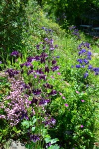 Jardin botanique de Melles