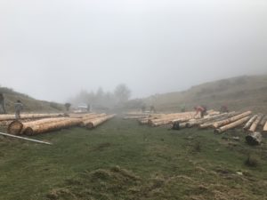 Ecorçage des troncs de sapin pour la cabane pastorale d