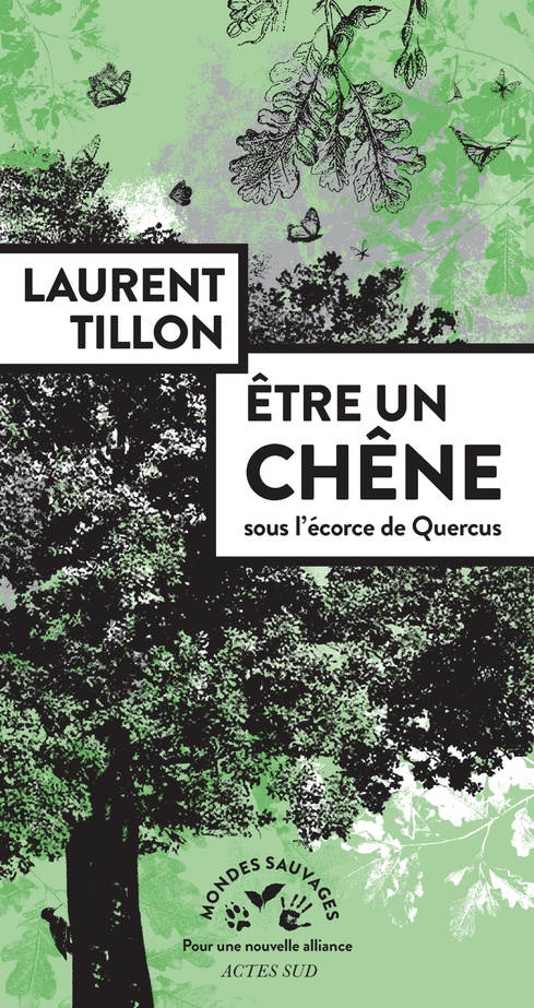 Mon ami est un arbre avec Laurent Tillon dans son dernier livre