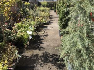 Pépinière JardiPradel