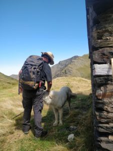 Pascal Penetro Maire de Fos