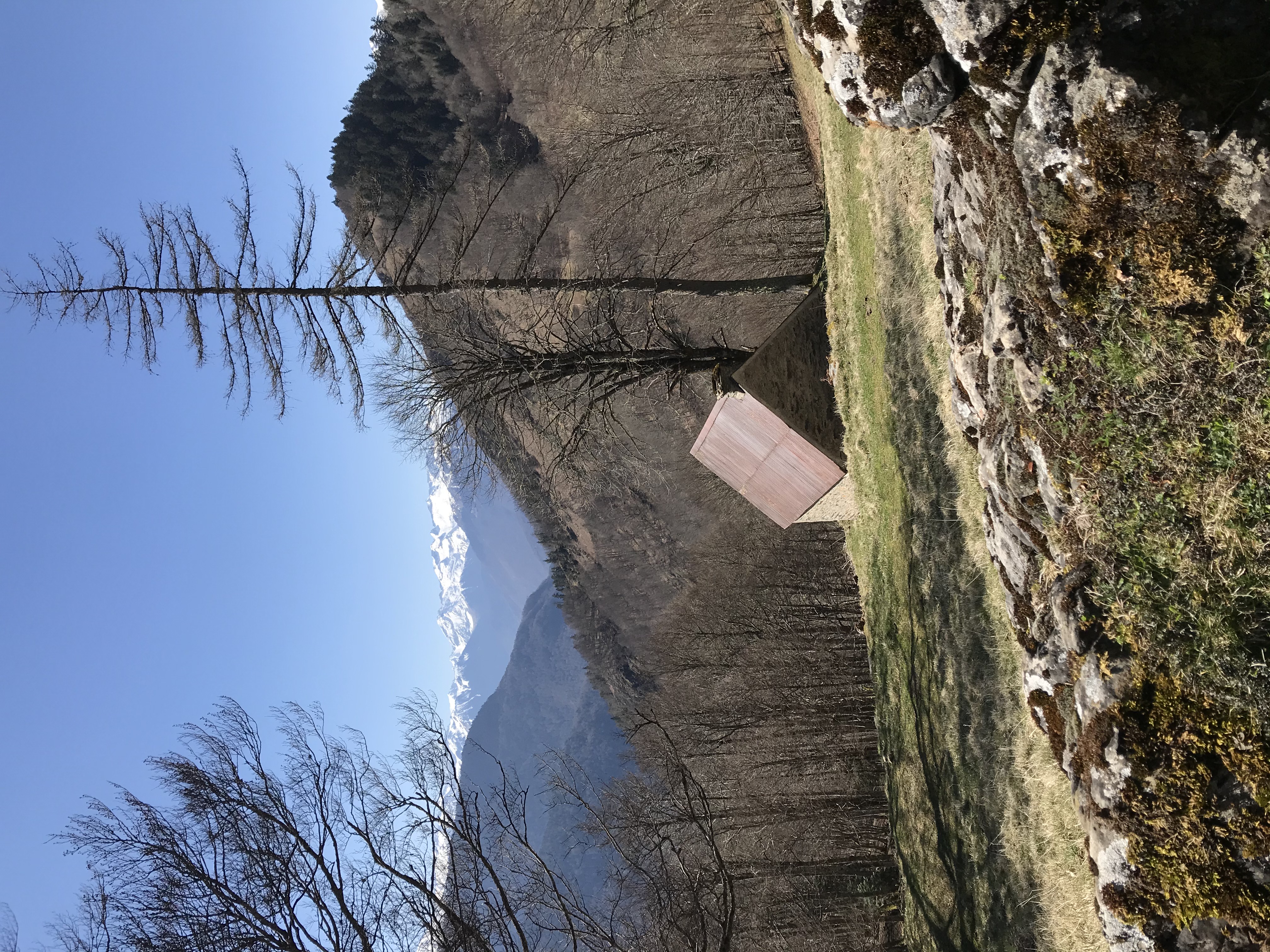 La montagne une vue monarchique sur le monde