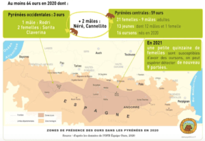 Répartition des ours bruns dans les Pyrénées