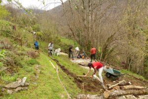 Terrassement jardin botanique Melles