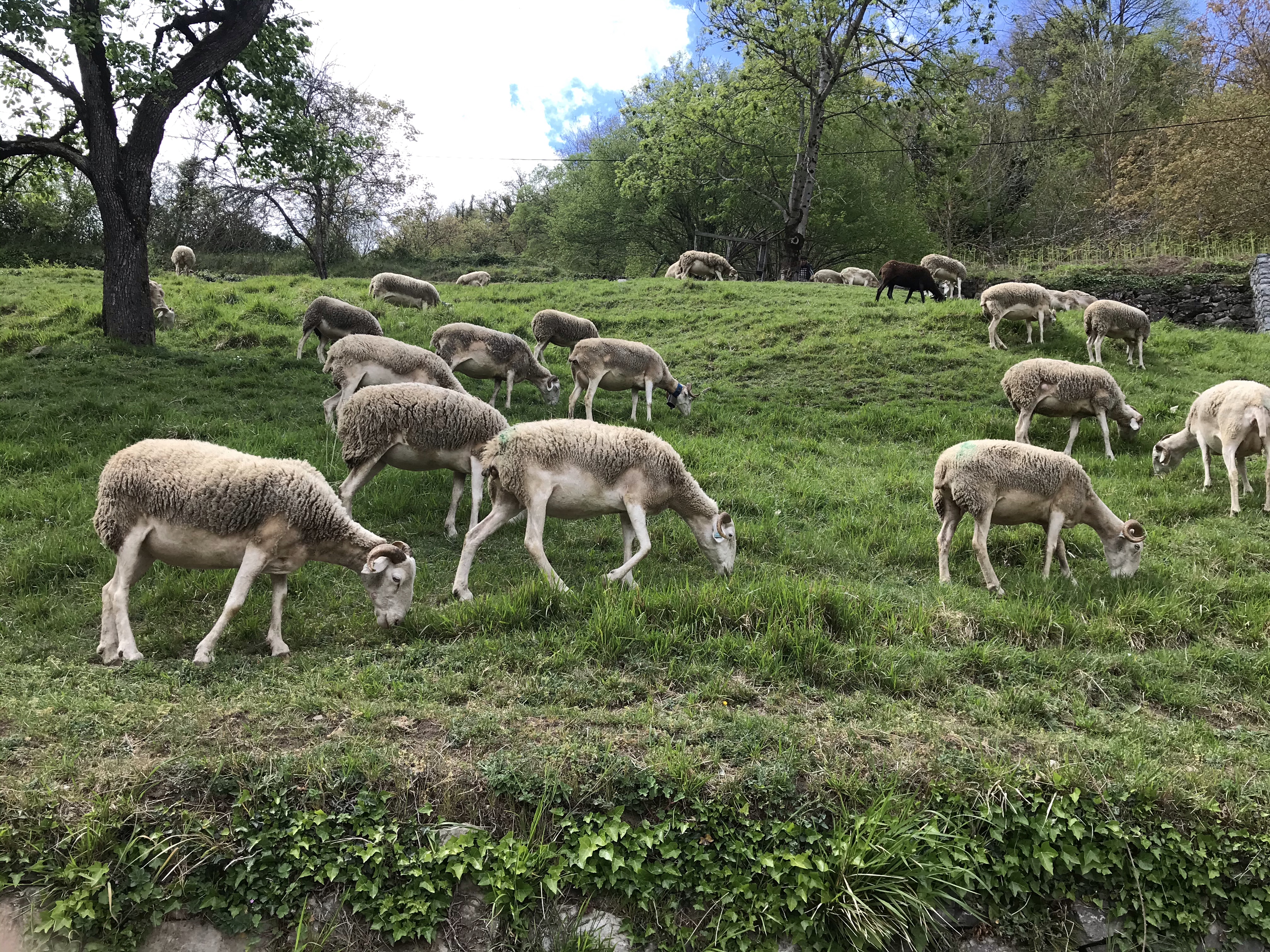 Déconfinement ! Réservez votre week-end nature du 5 et 6 juin entre Melles/Boutx/Le Mourtis