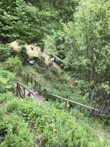 Jardin botanique des Pyrénées à Melles