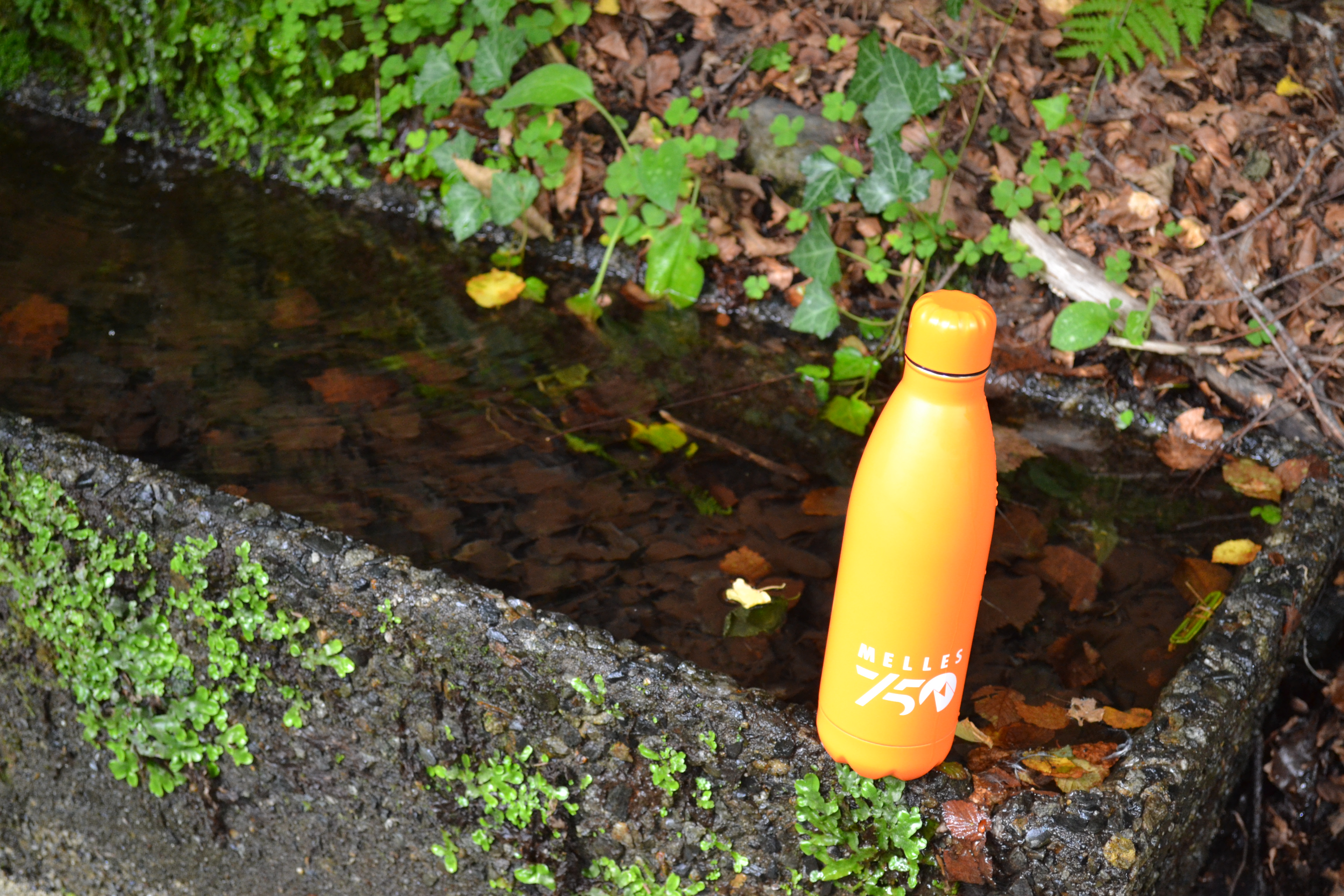 En rando ou au bureau, un peu des Pyrénées dans votre sac avec la gourde Melles750