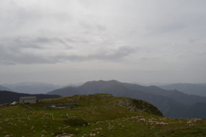 Moutons en estive à l