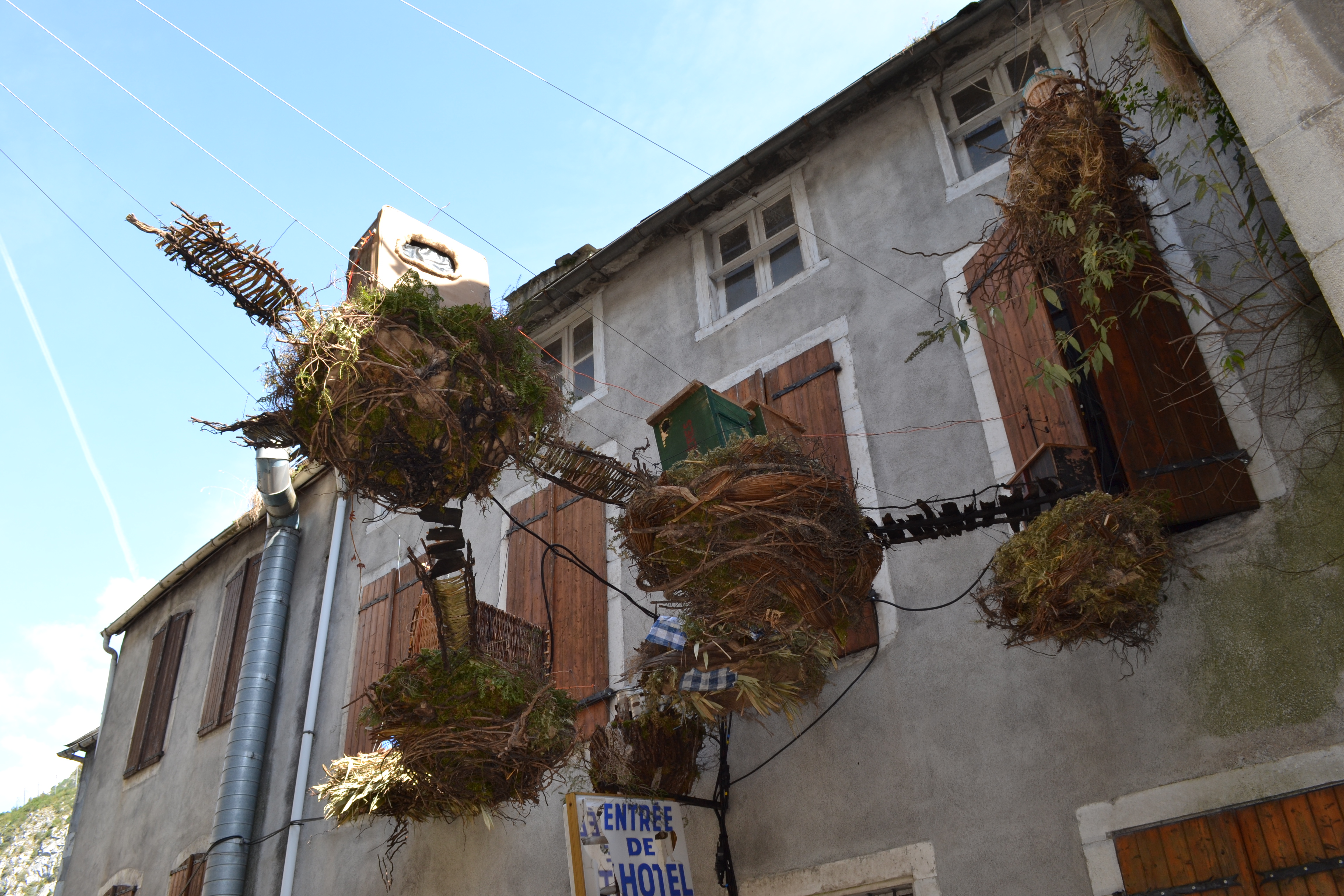 Saint-Béat découvre des Nids (vivants) pas comme les autres