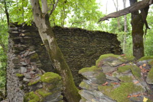 Vestiges cabane de l