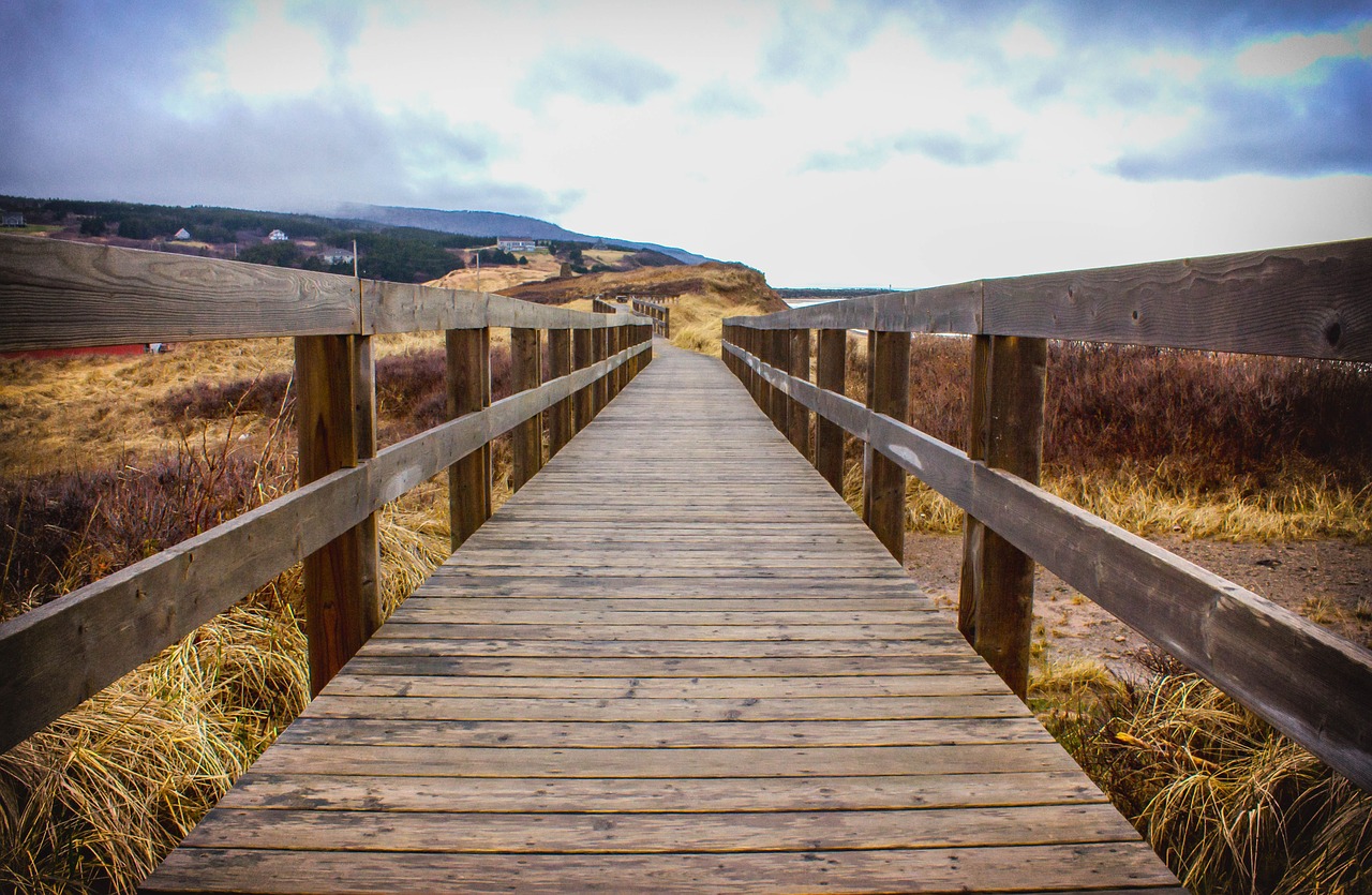 Quelques marques françaises championnes du greenwashing