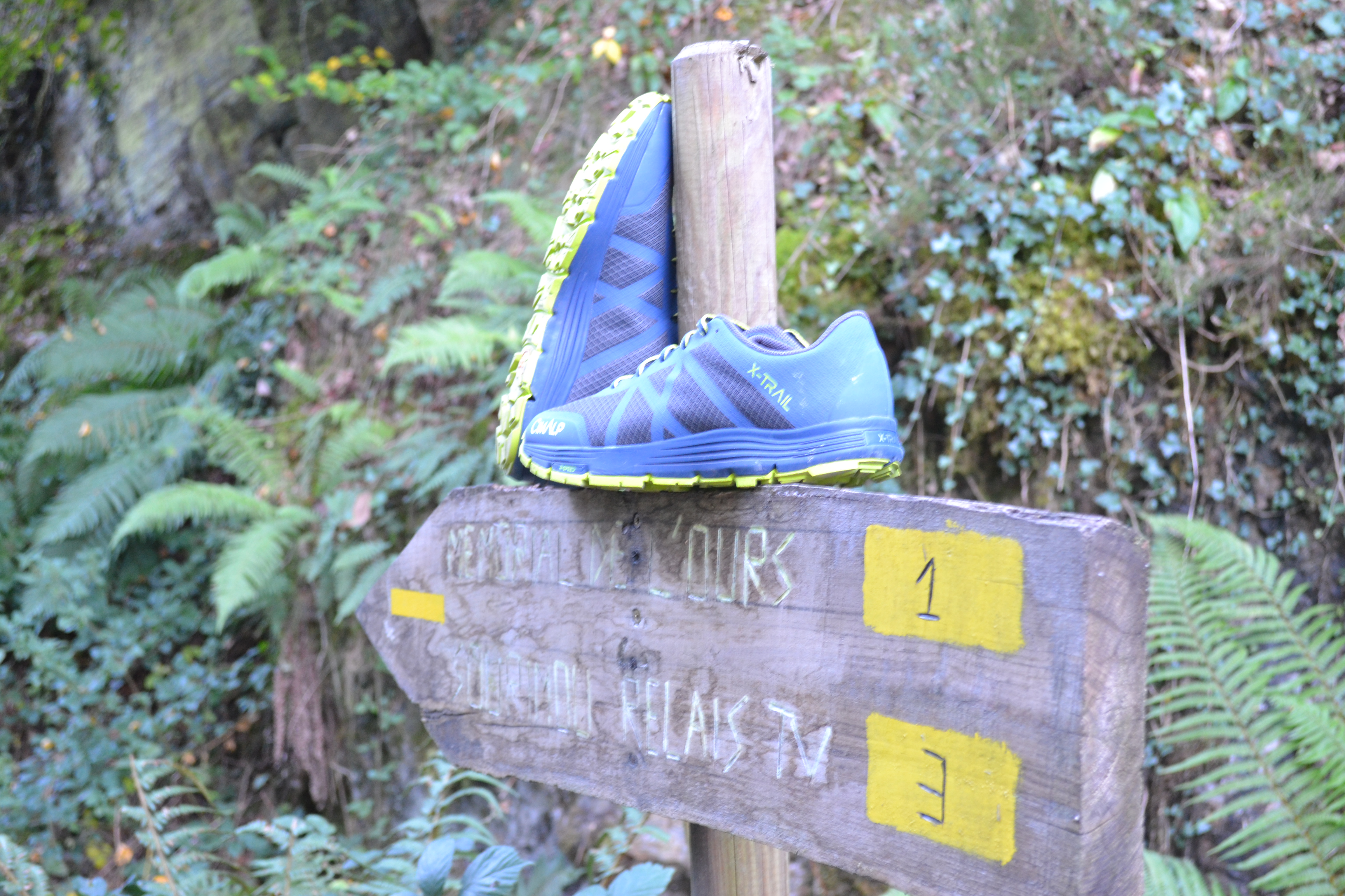 Débuter le trail sur les traces de l'ours à Melles dans les Pyrénées