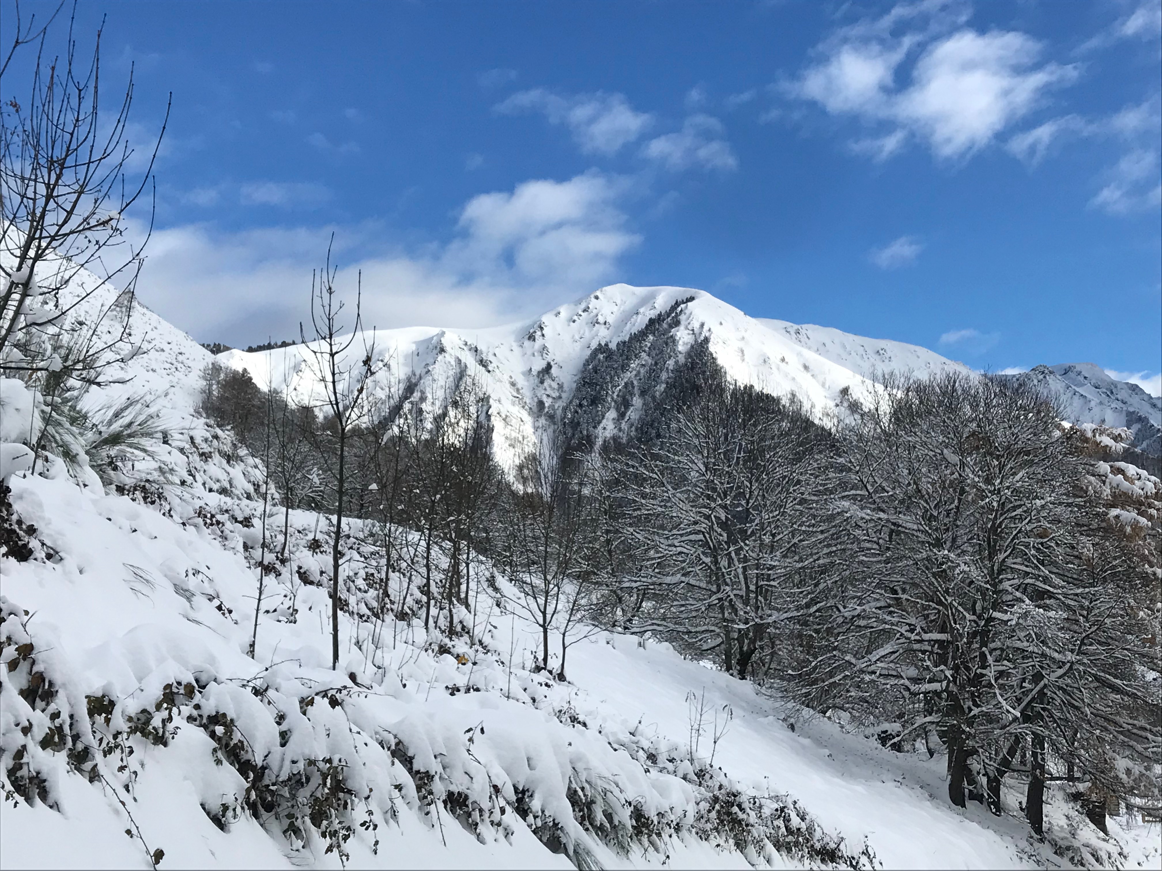 Comment le village de Melles s'engage dans la préservation de la biodiversité ?