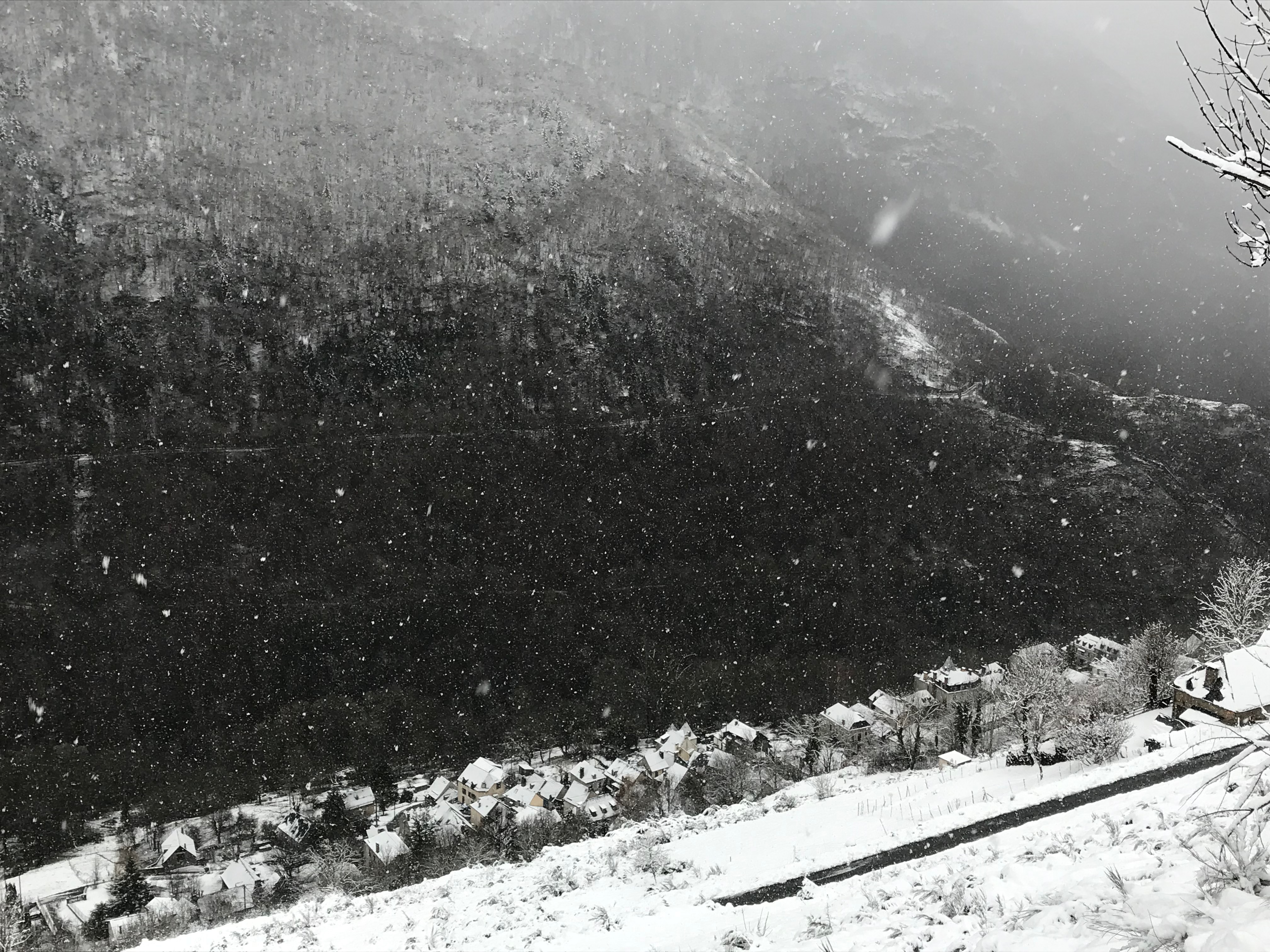 [Sans filtre] Melles in black and white