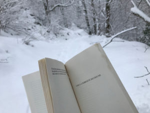 Sobriété heureuse sous la neige à Melles