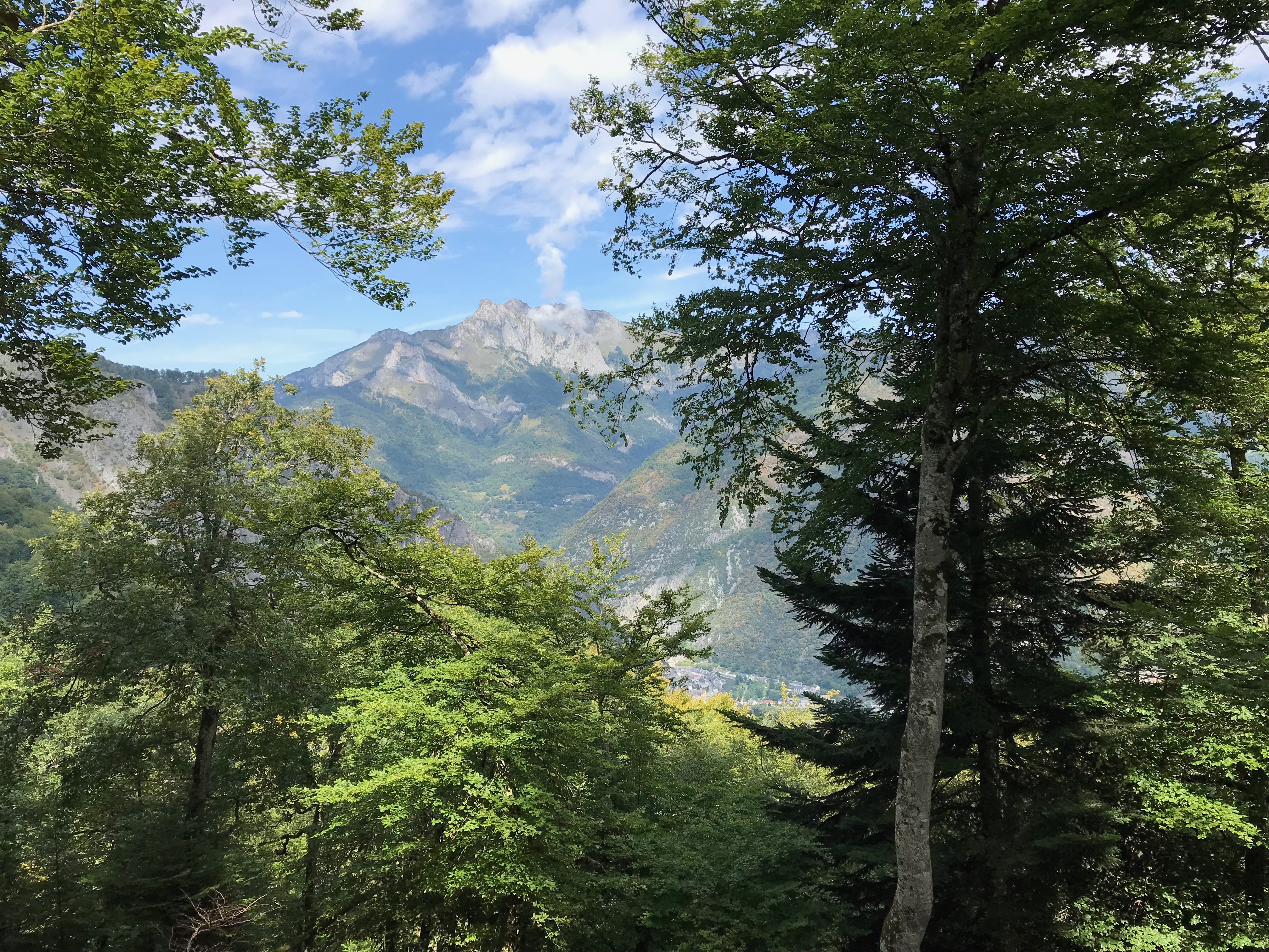 L'impact carbone et climatique des banques