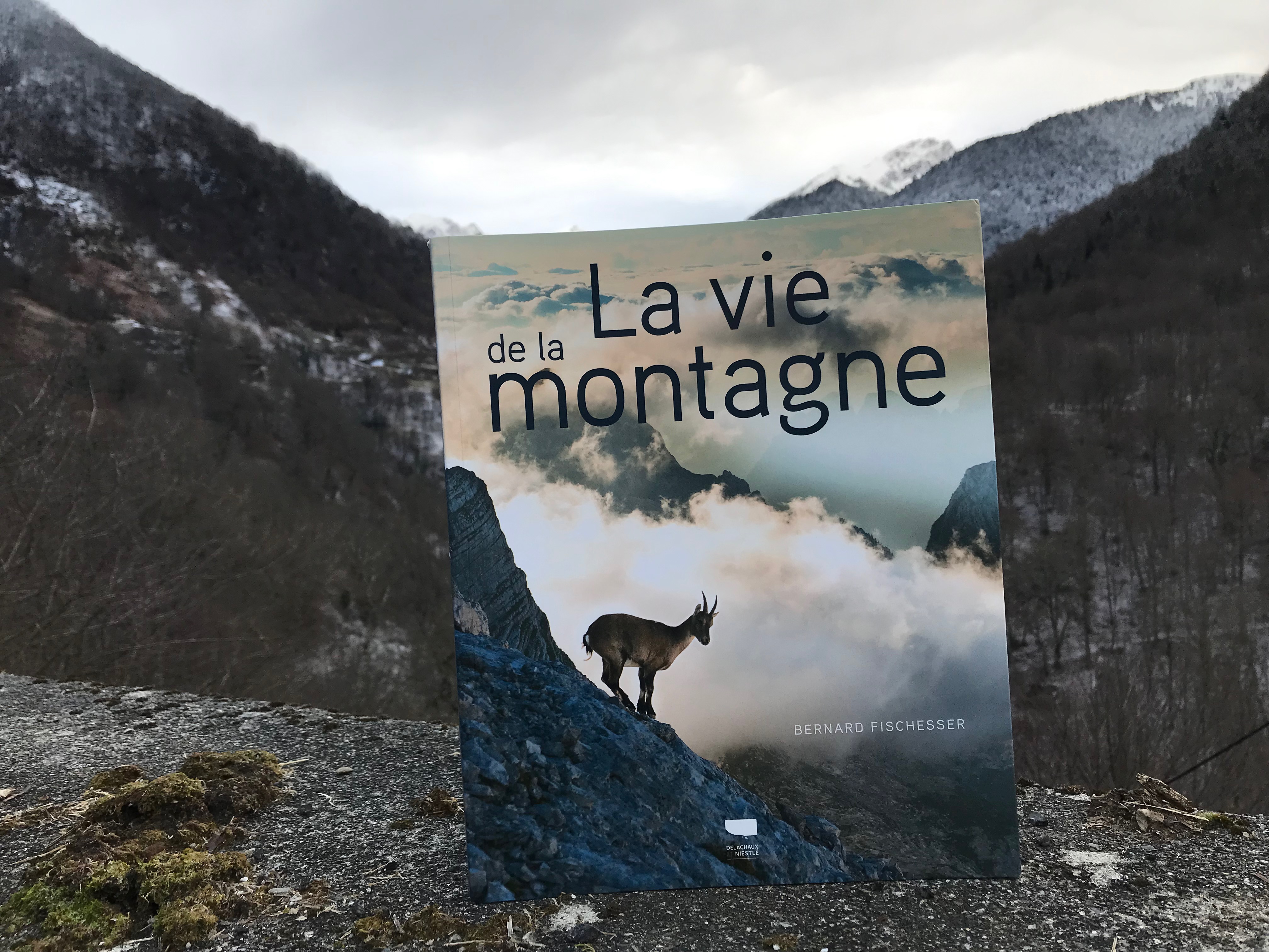 La vie de la montagne par Bernard Fischesser