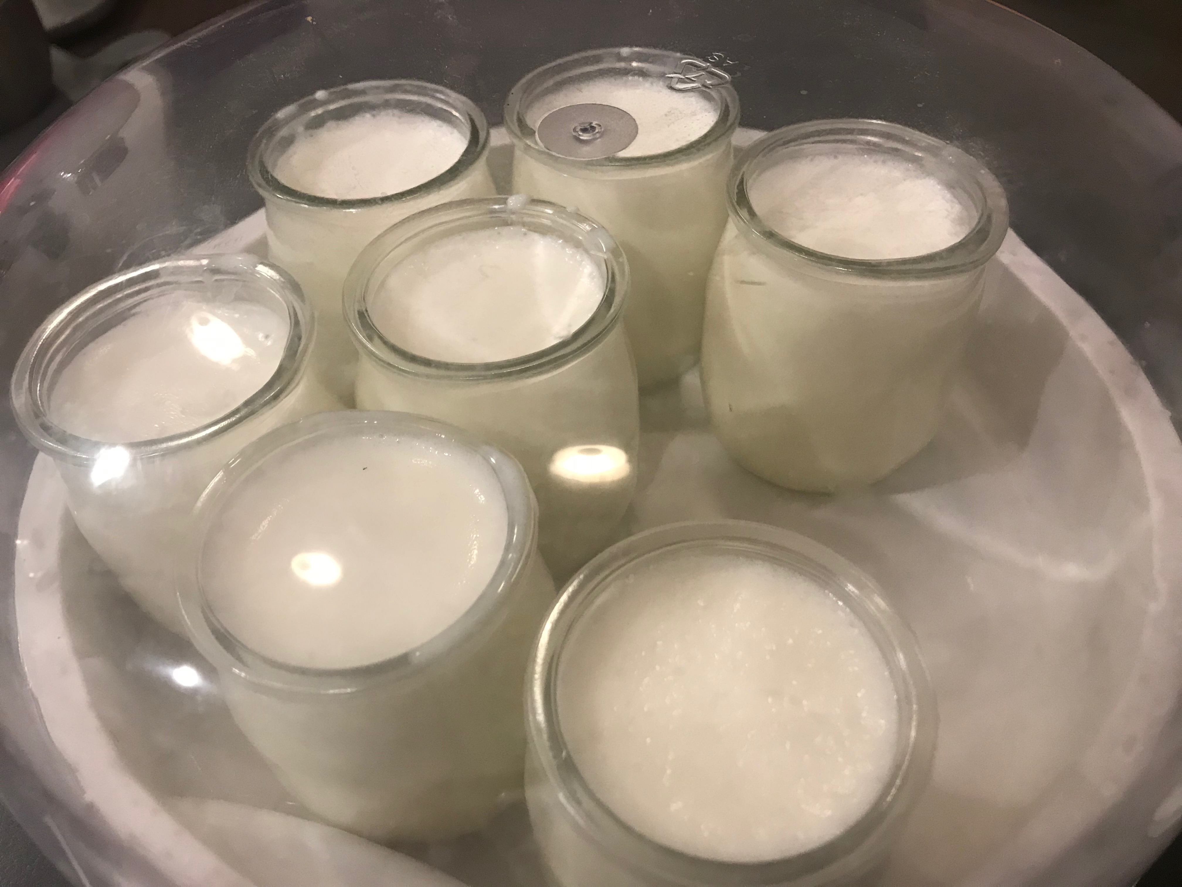 Comment préparer facilement ses yaourts à la maison ?