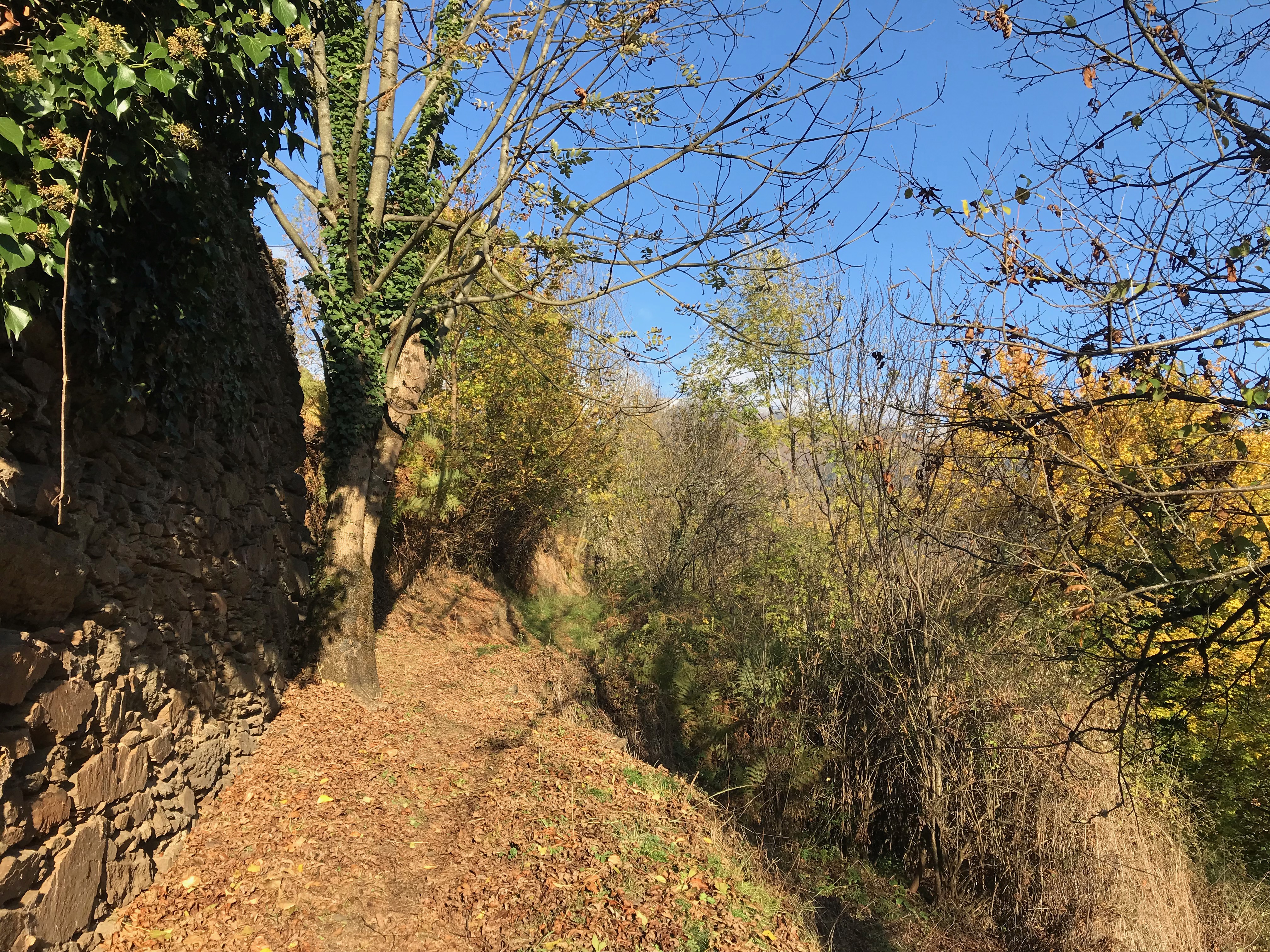 L’écologie ce n’est pas prendre une douche froide dans le noir chaque semaine