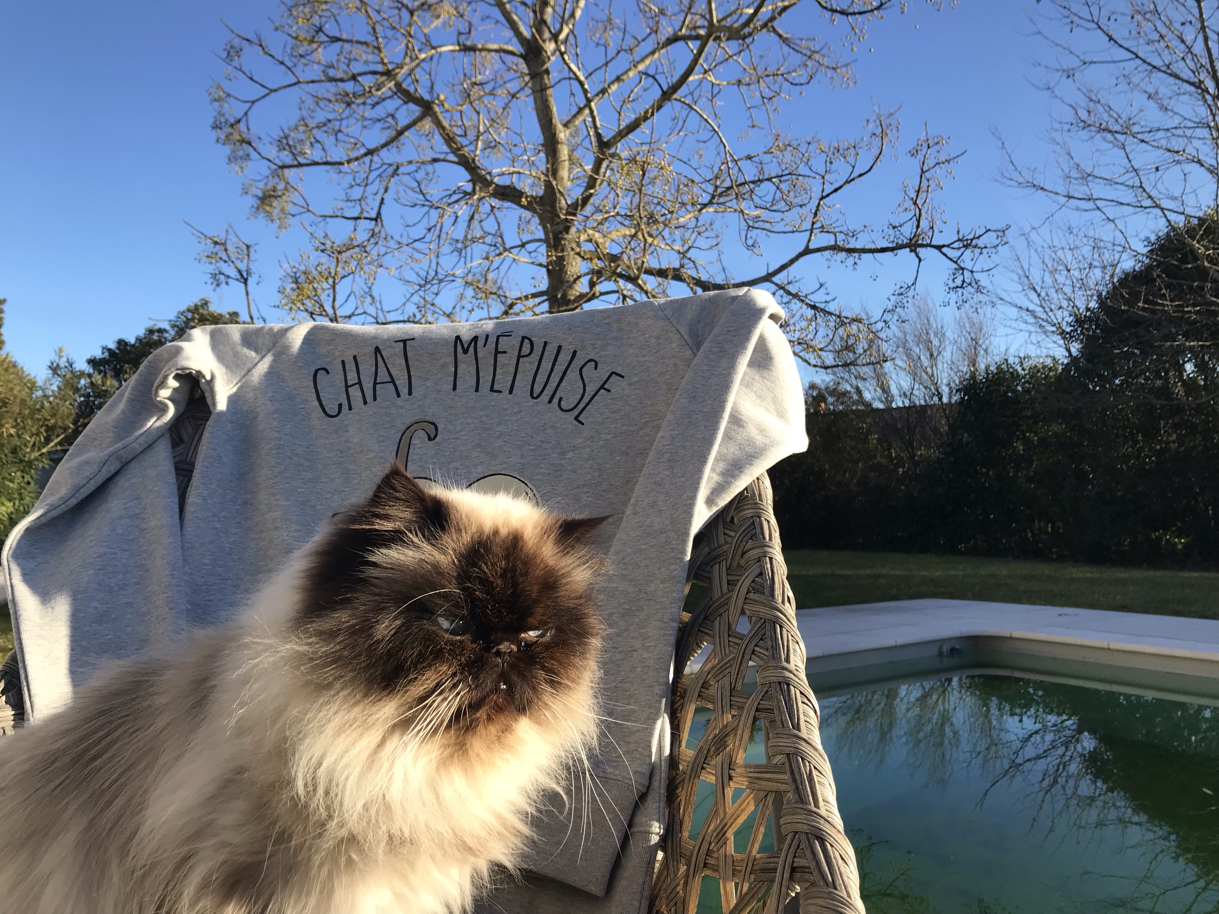 Le Fabuleux Shaman s'invite avec originalité sur nos sweats et tee shirts