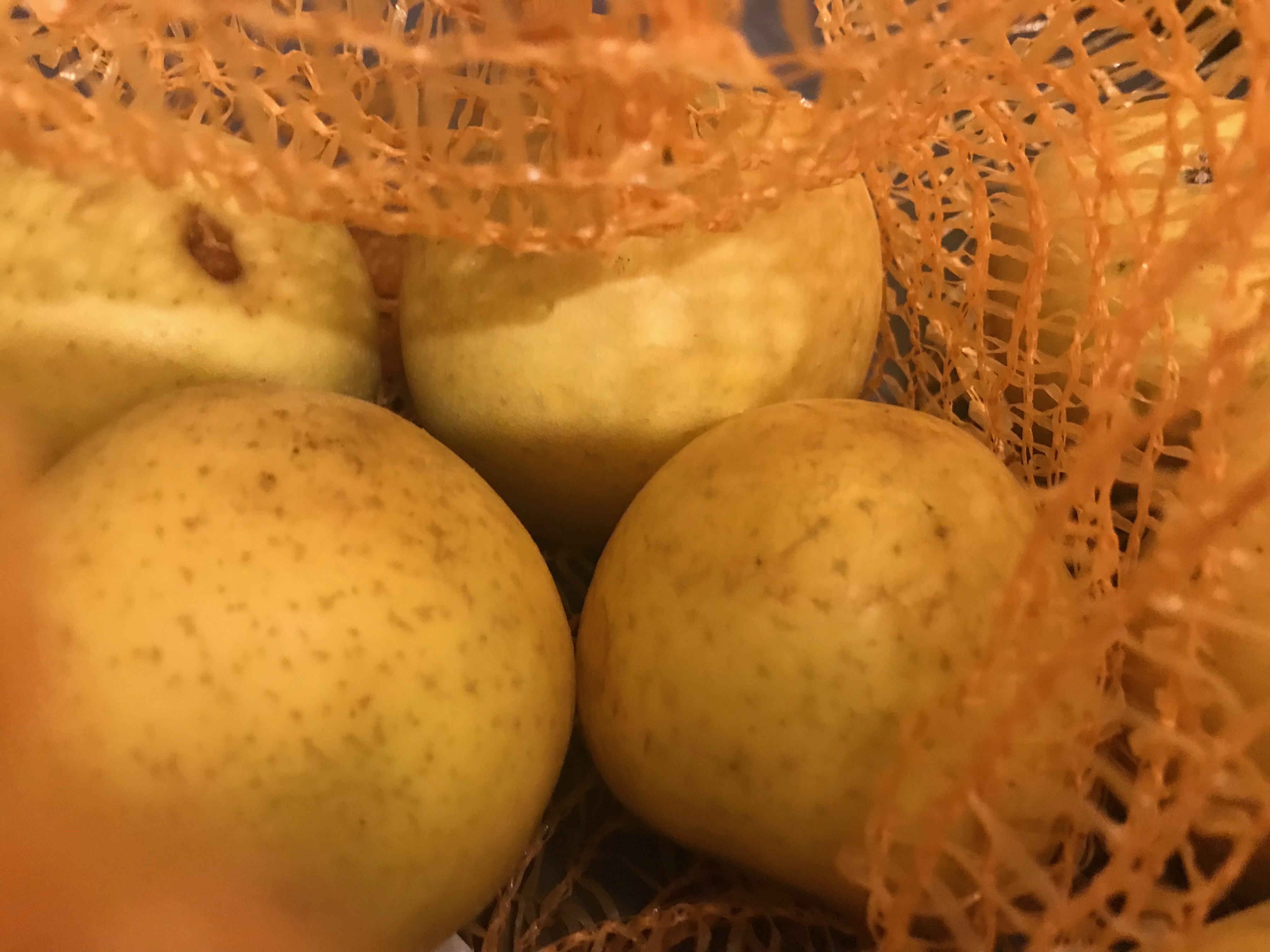 Comment préparer ses conserves de compote de pommes ?