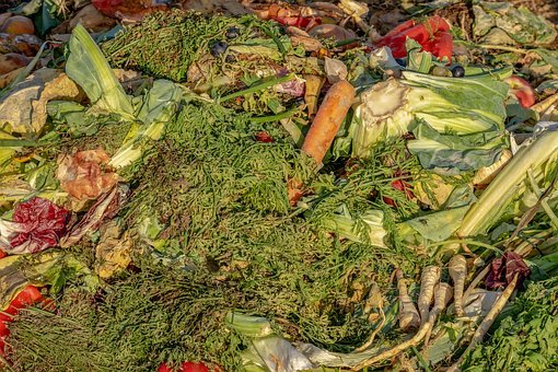Trier pour composter ses biodéchets sera obligatoire en 2024