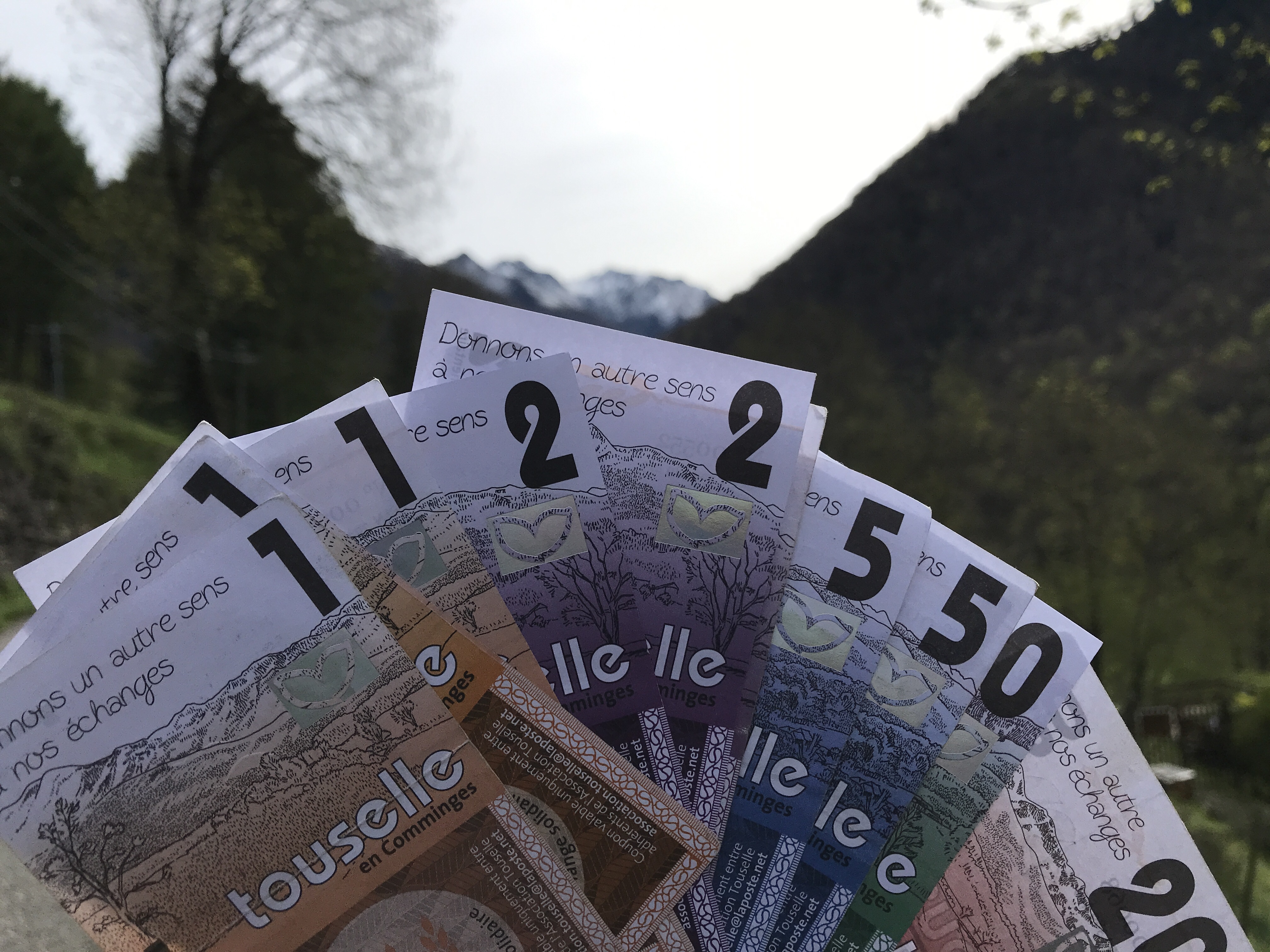 Pourquoi le village de Melles adopte la monnaie locale la Touselle ?