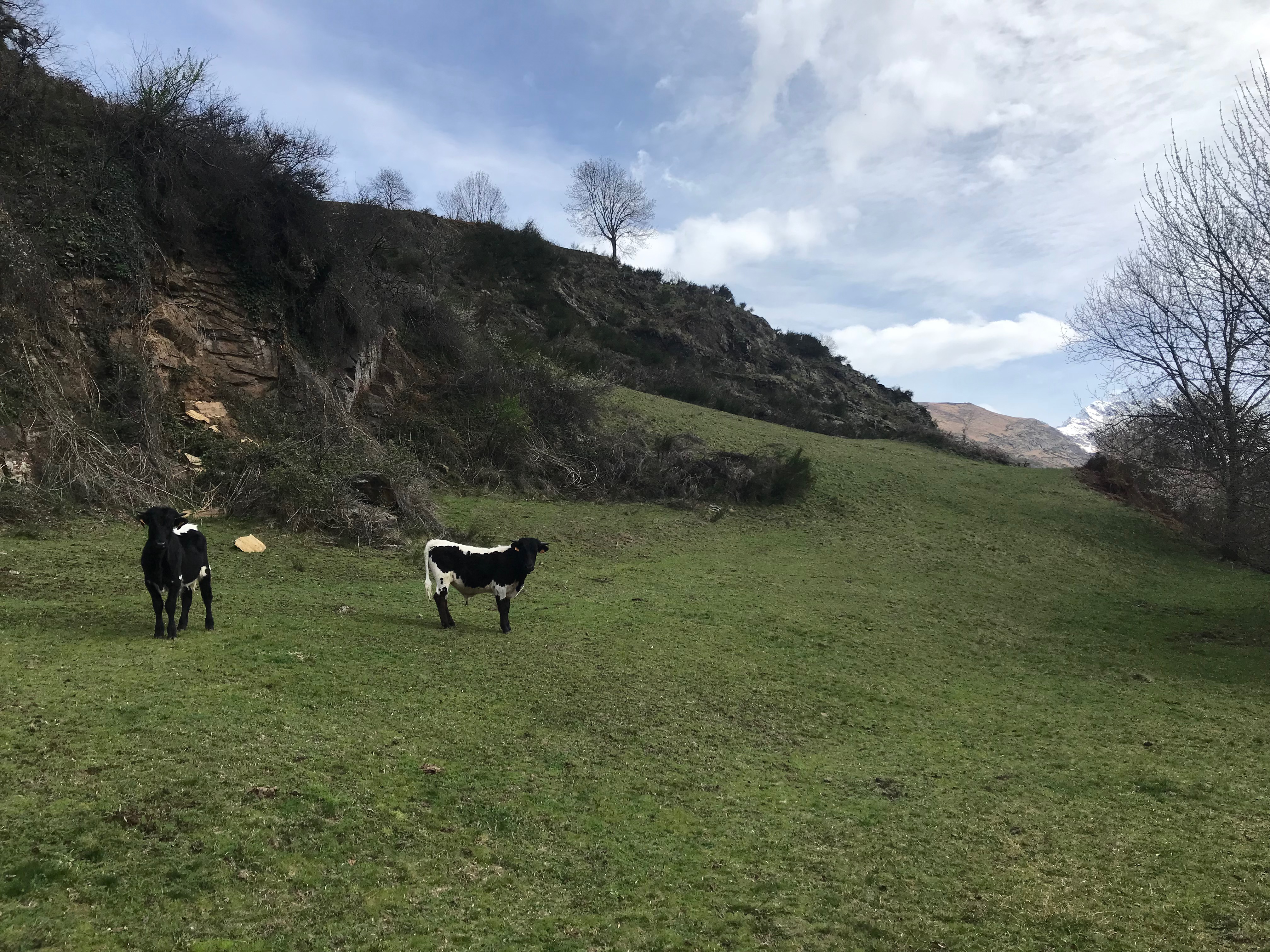 Trois ans pour conserver un monde vivable