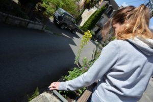 Fleurissement village Melles