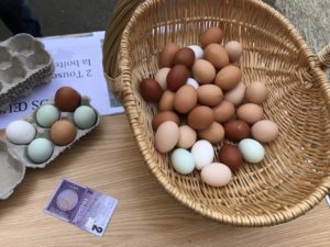 Des oeufs contre des Touselles sur le marché de Melles