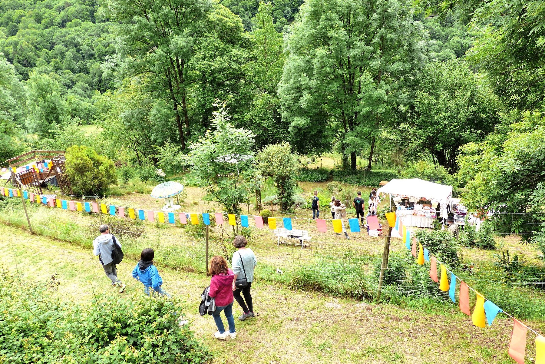 Le Jardin Botanique de Melles "A Fleur de montagne" fête ses 20 ans ce week-end (4-5 juin 2022)