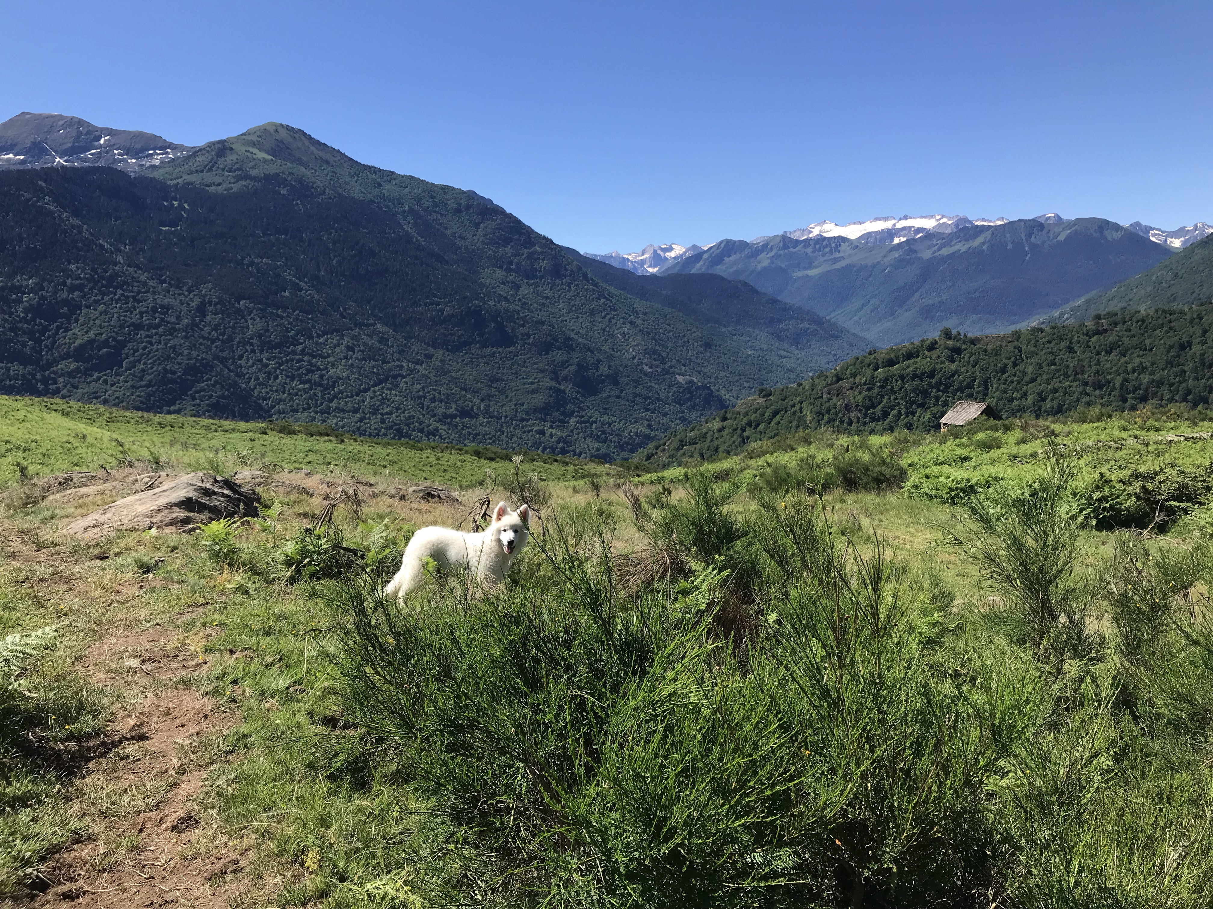 Randonnée familiale en boucle autour de Bausen (Val d'Aran)