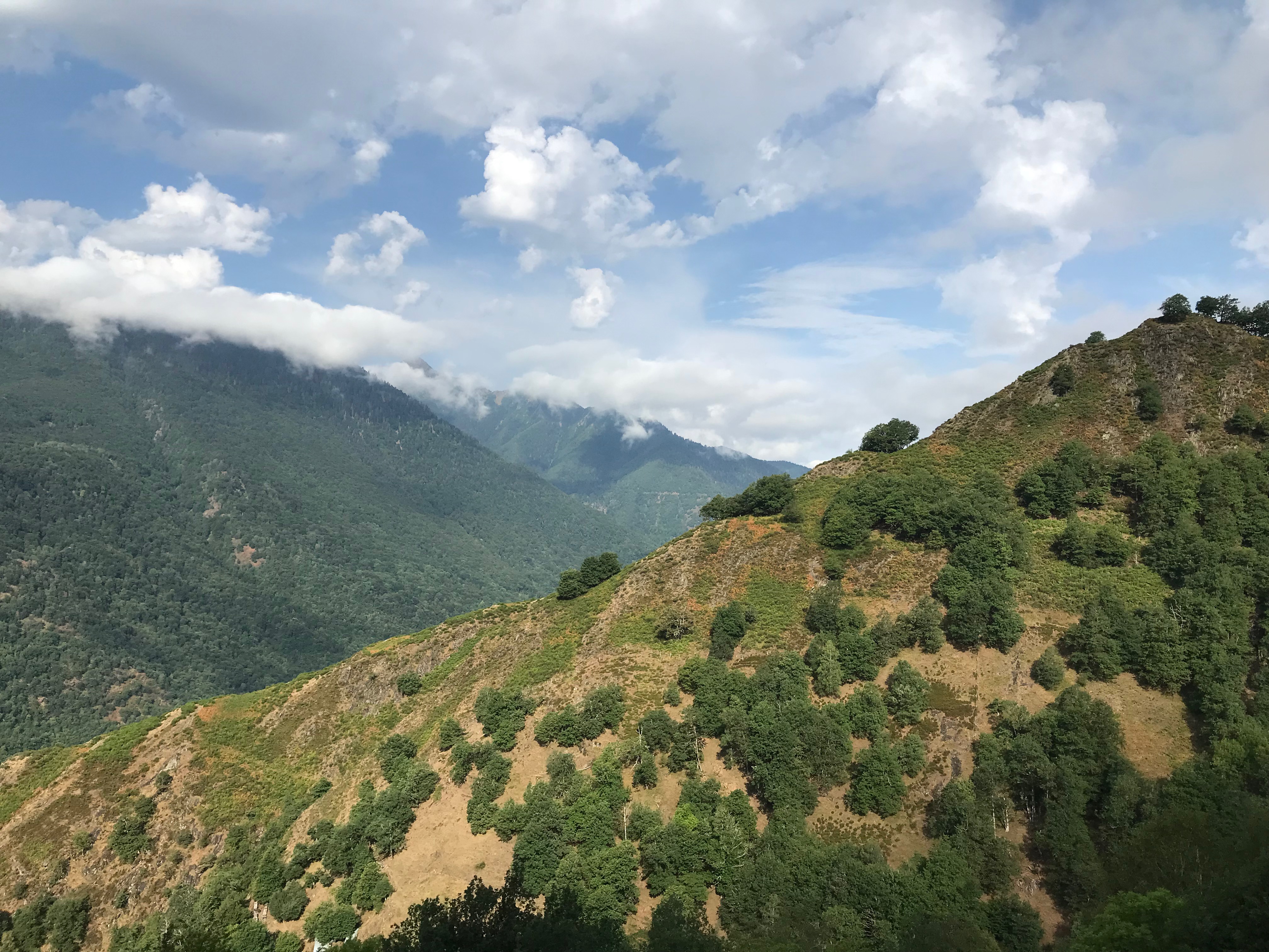 Ce que nous cherchons à faire aujourd’hui, c’est à exterminer la vie