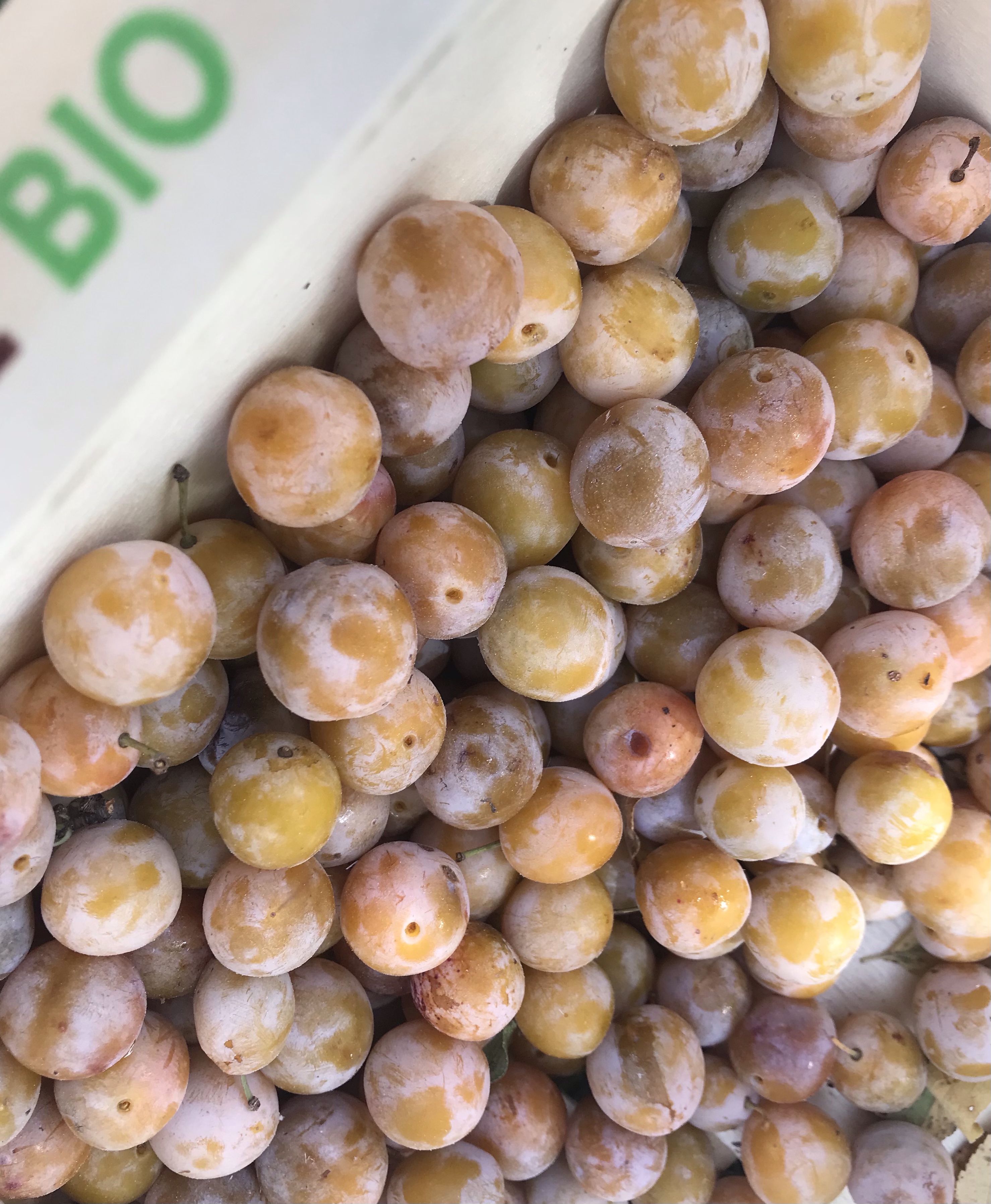 Compote de mirabelles sans sucre et facile