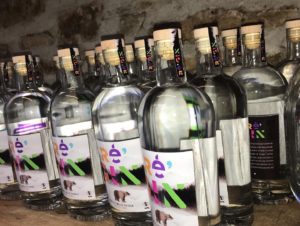 RéGIN le gin de Melles