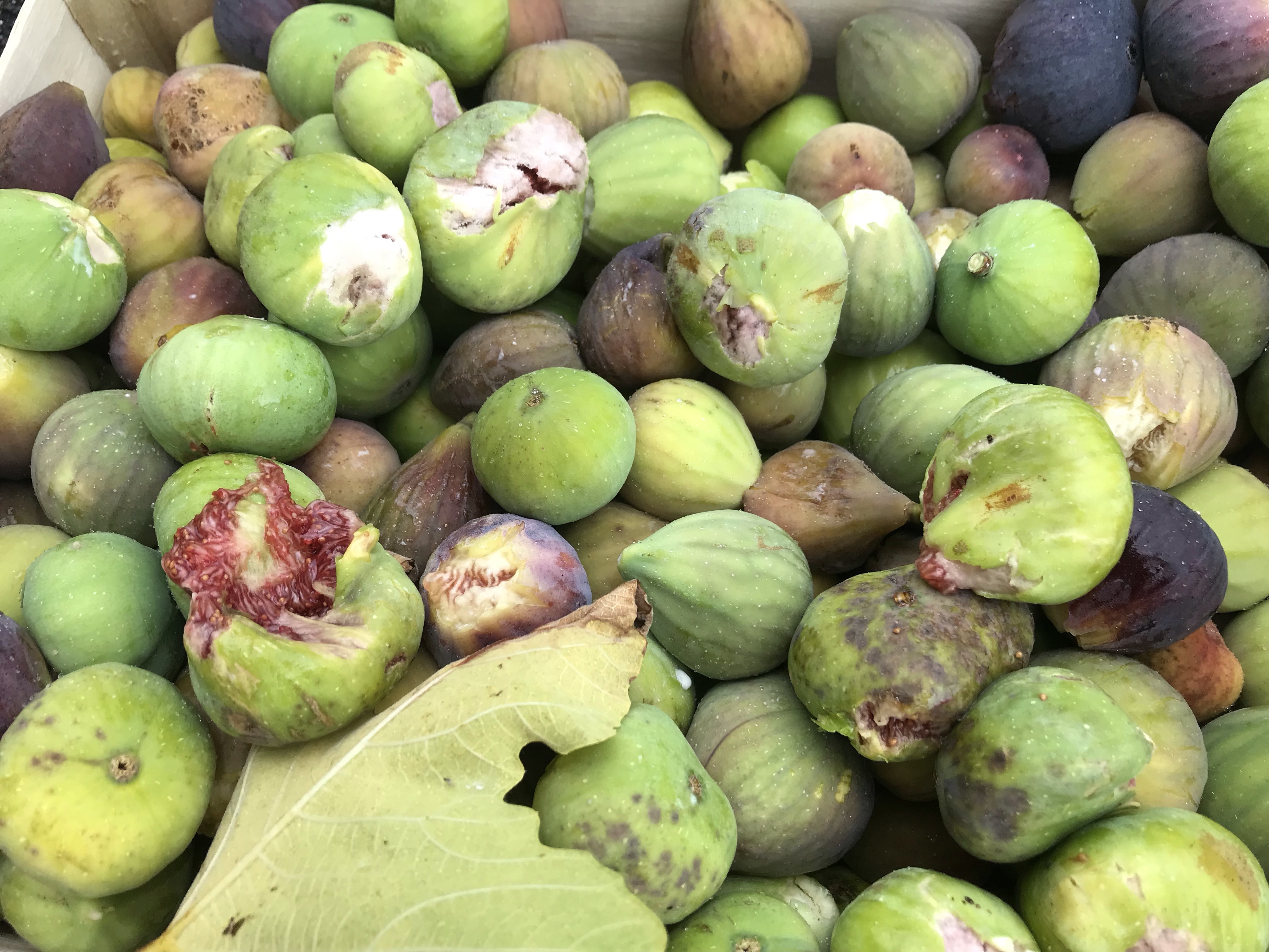 Compotée de figues sauvages nature et sans sucre