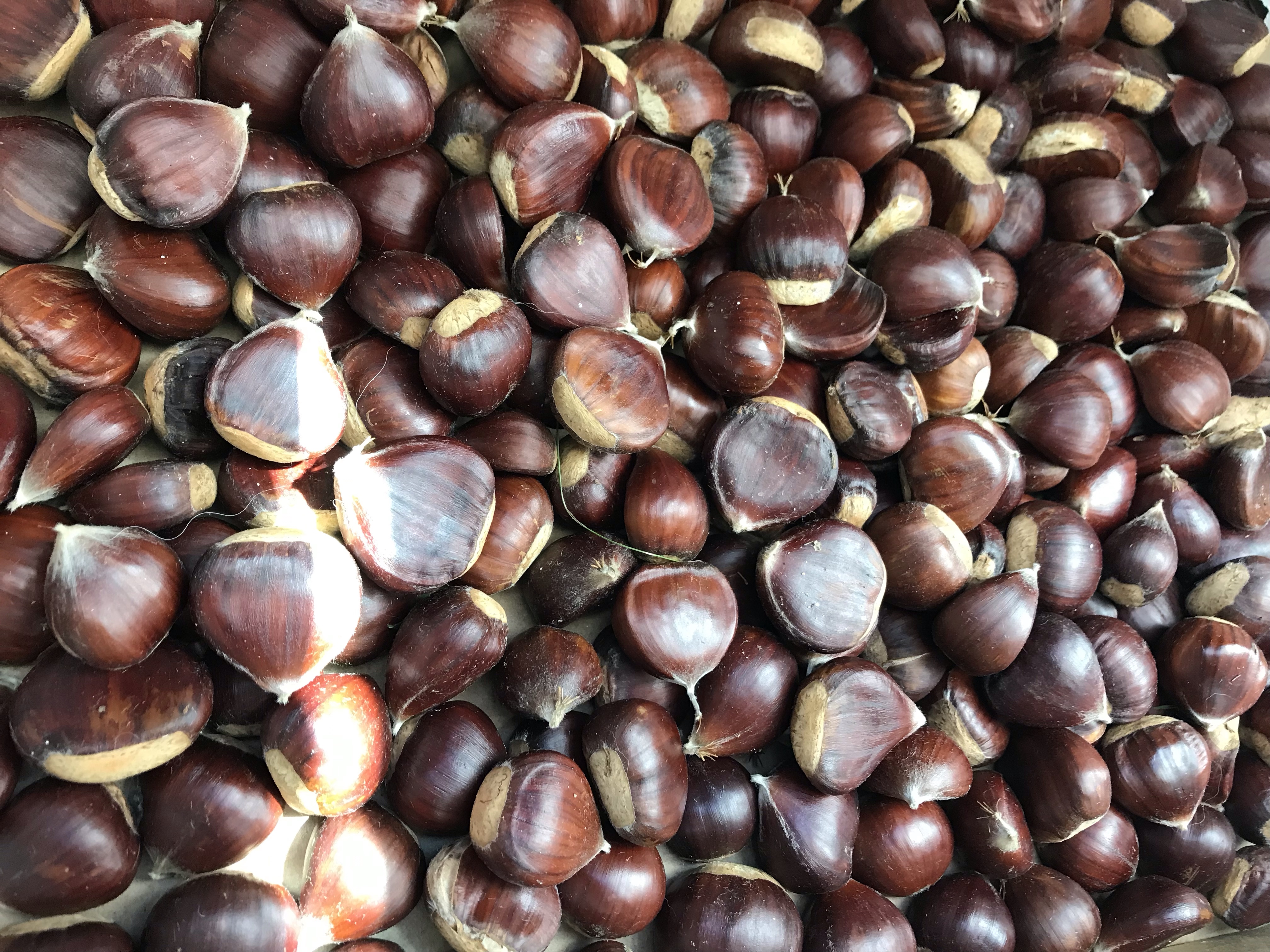 Crème de châtaignes des Pyrénées