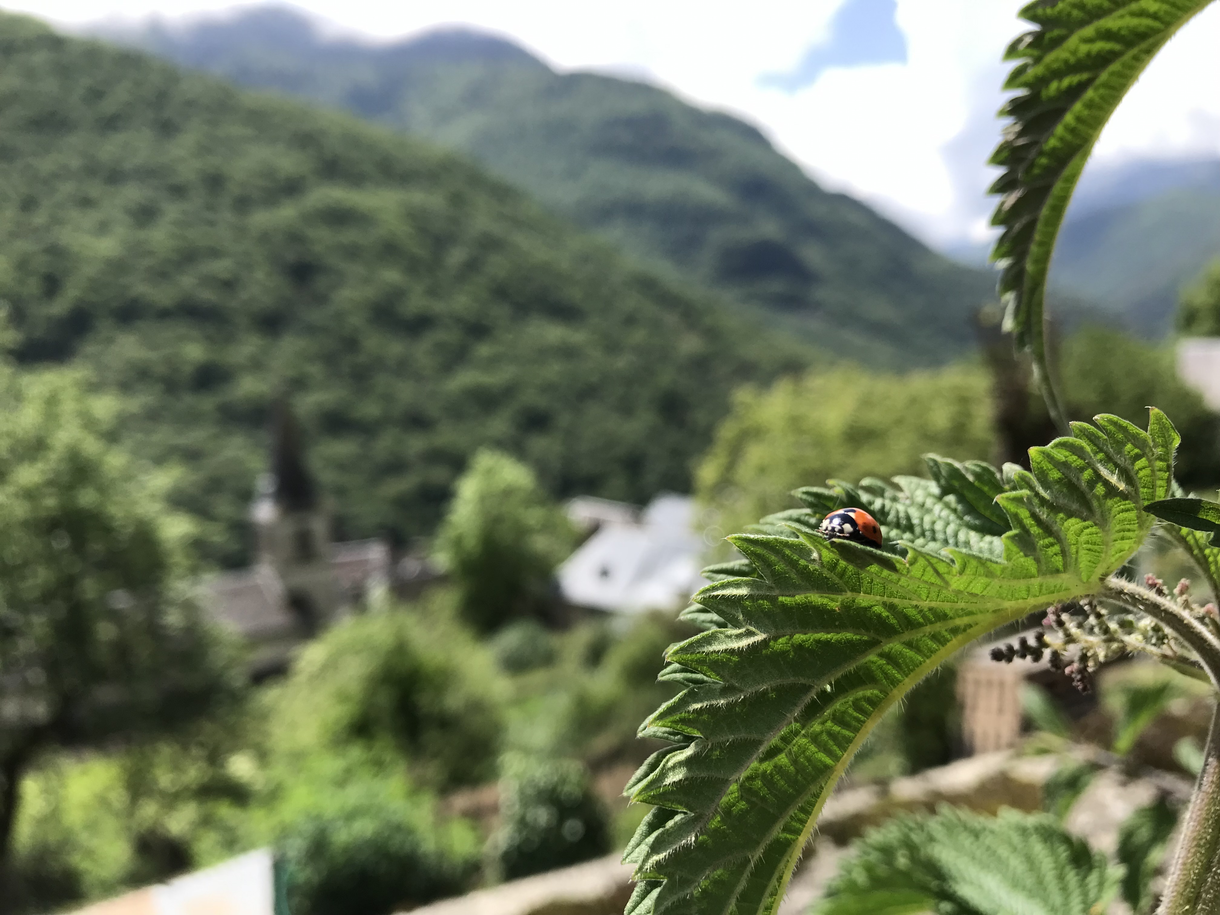 Comment adopter un mode de vie plus respectueux de la nature ?