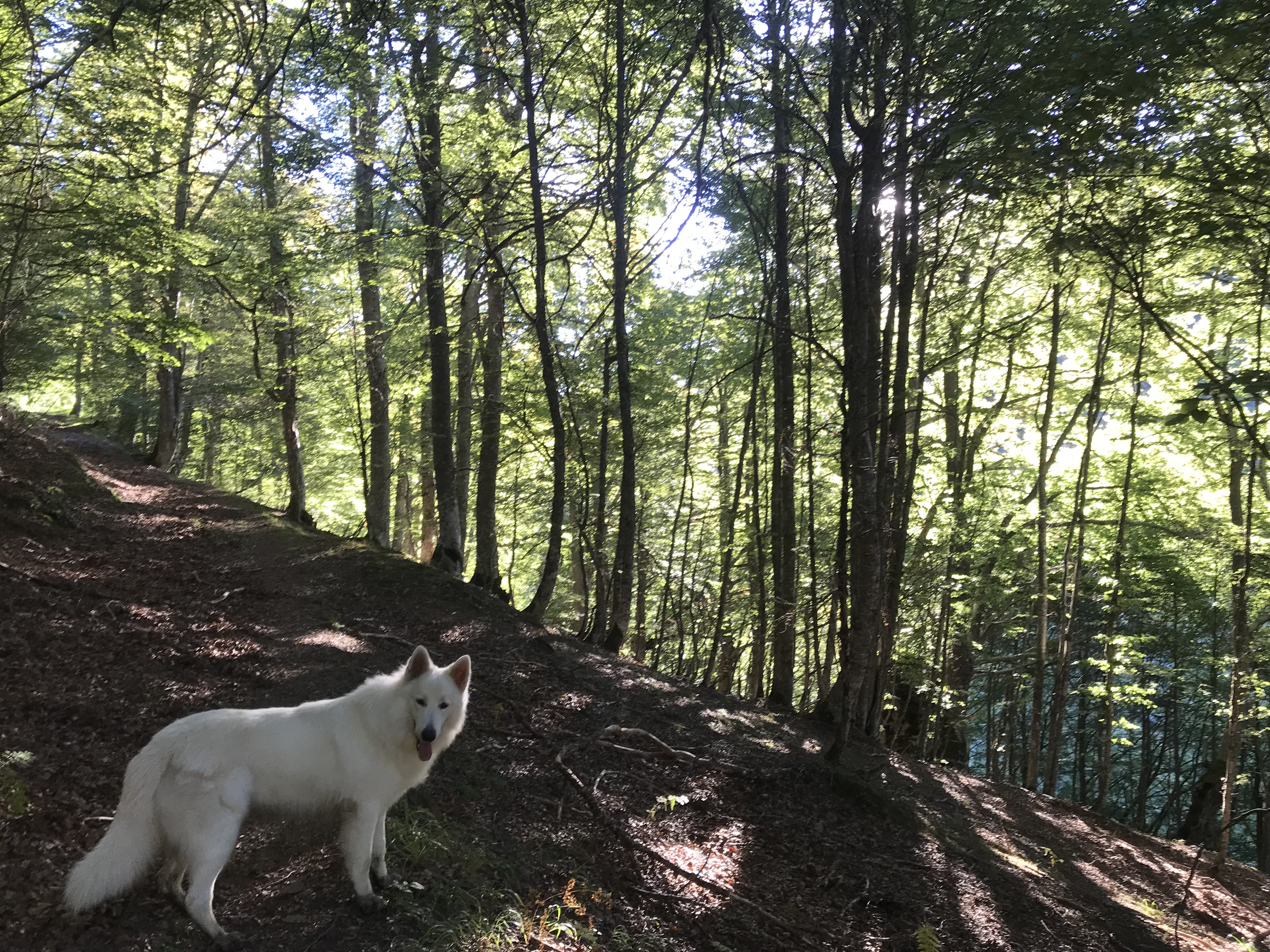 Escapades d'automne dans les Pyrénées Haut-Garonnaises du 13 au 15 octobre