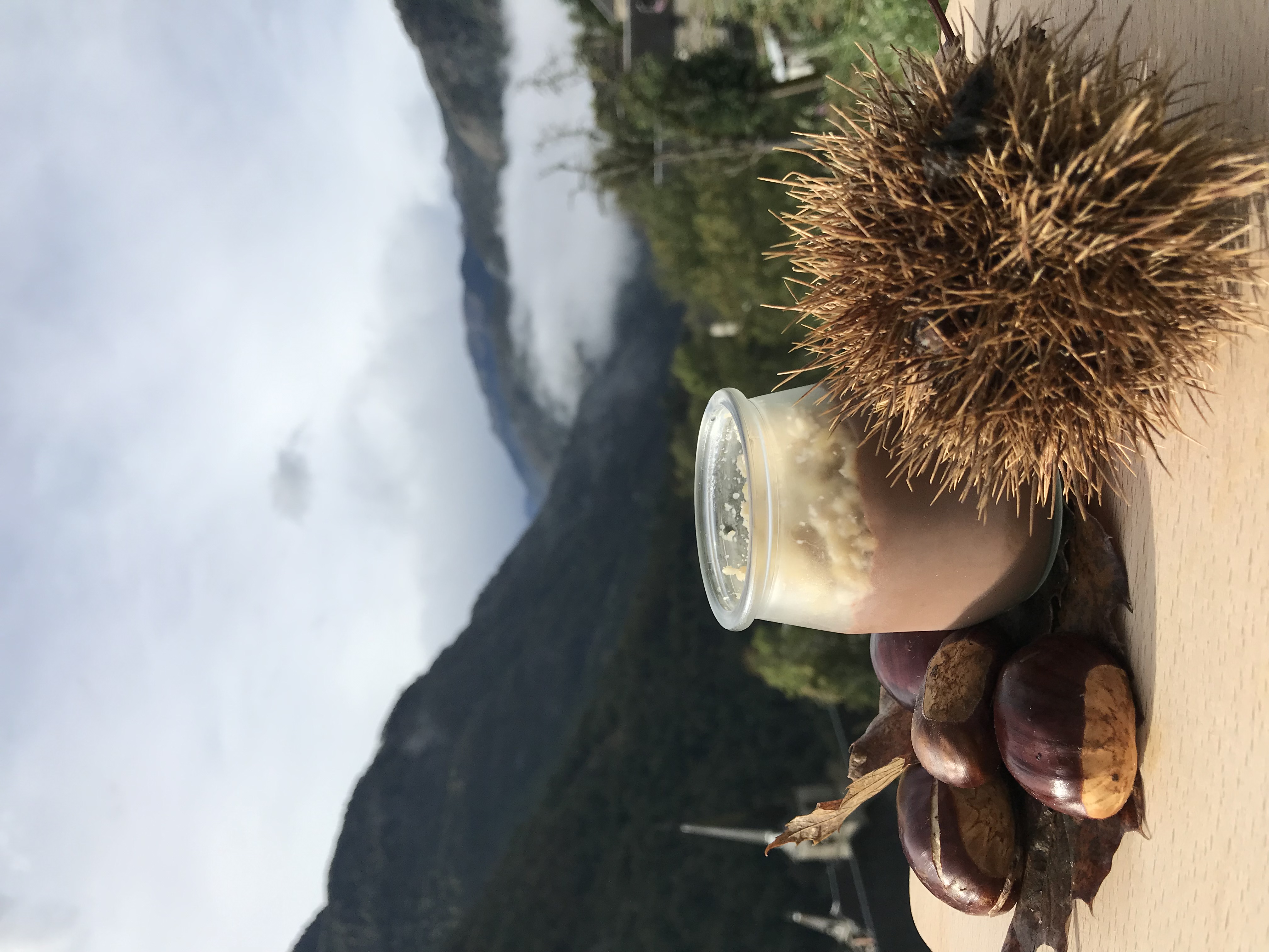 Châtaigne sauvage des Pyrénées sur sa crème au chocolat