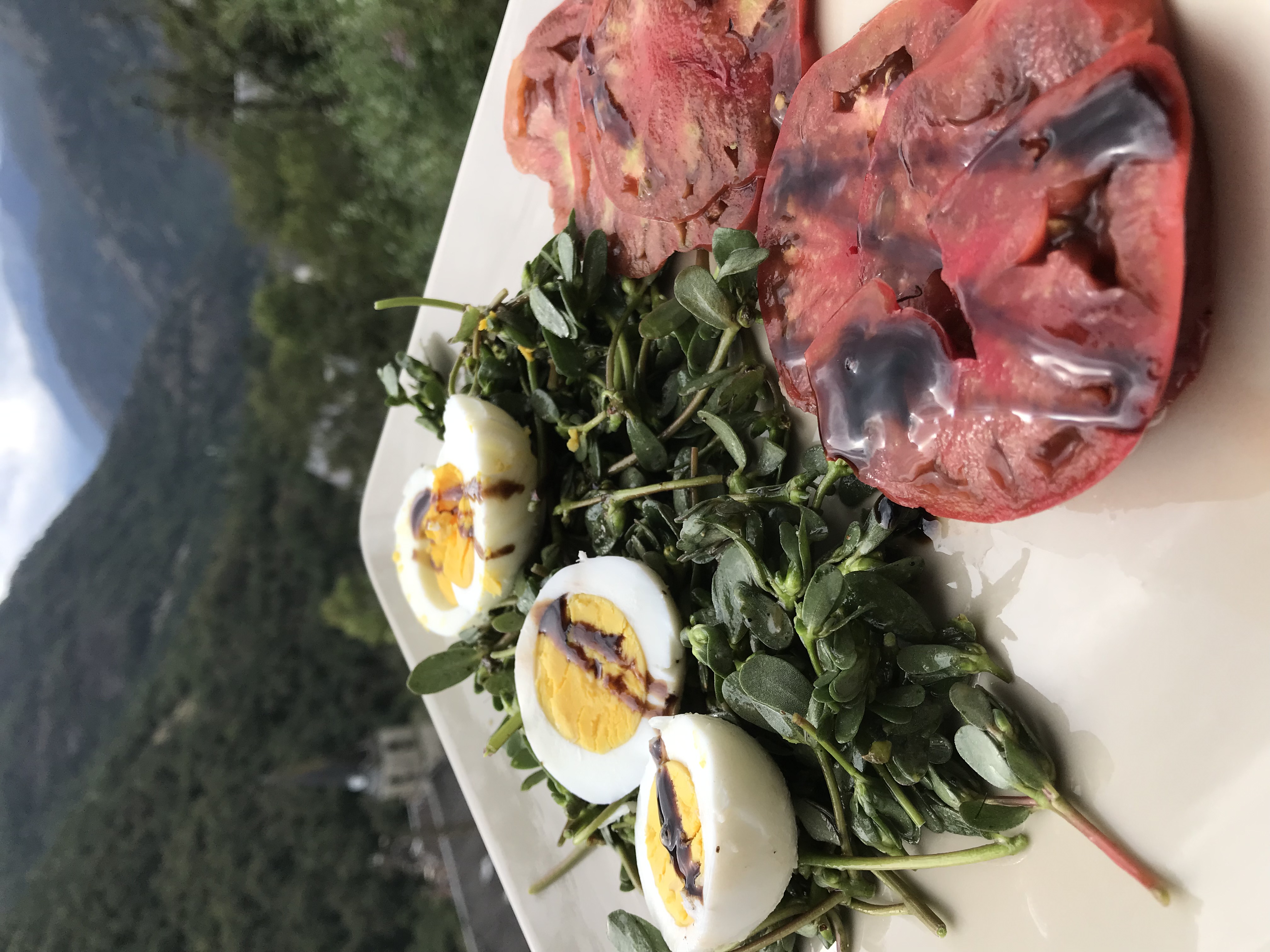 Pourpier la plante sauvage gourmande dans toutes les salades