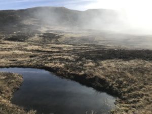 Tourbière plateau d