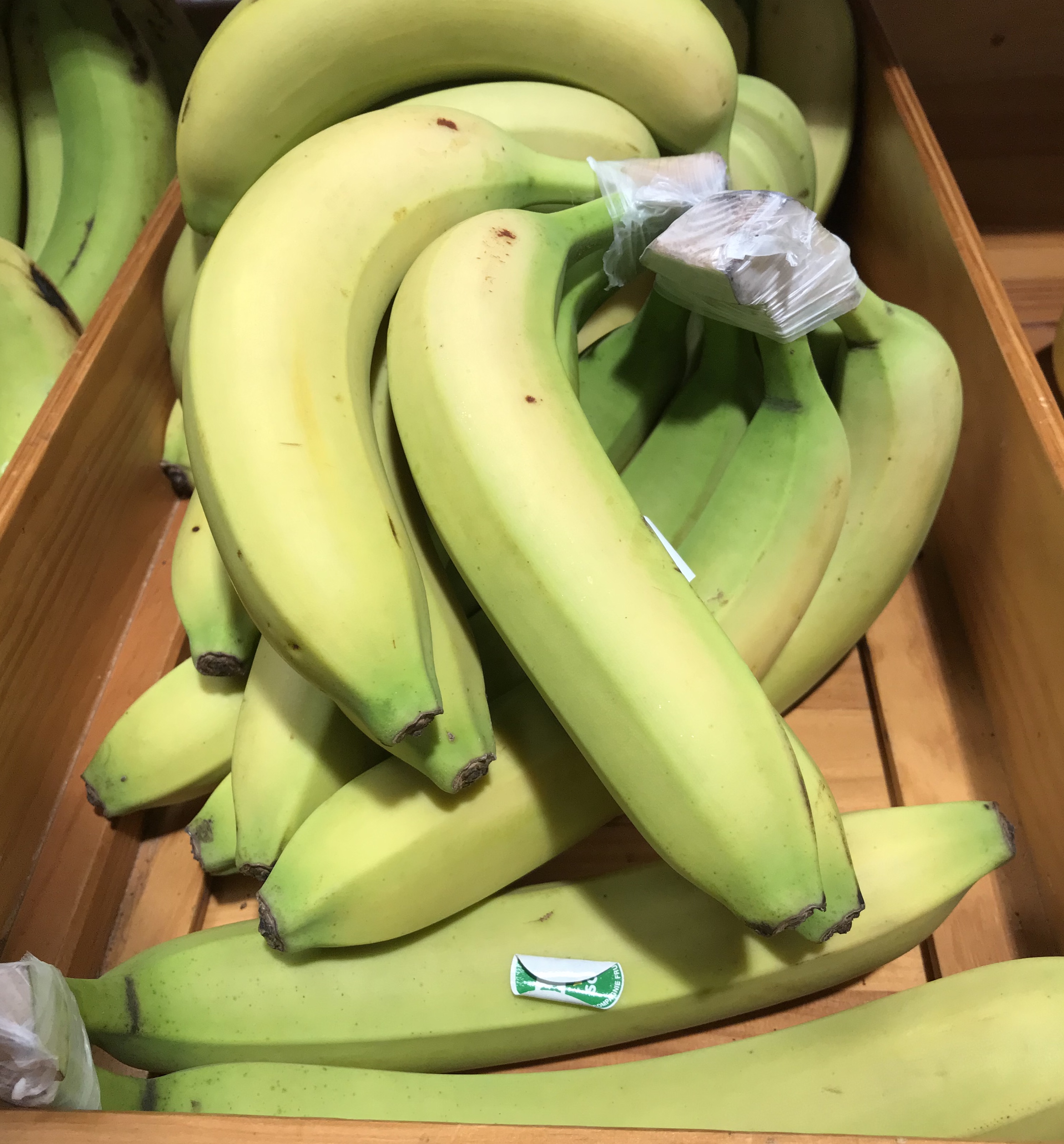 Des bananes bio en Occitanie près de Perpignan