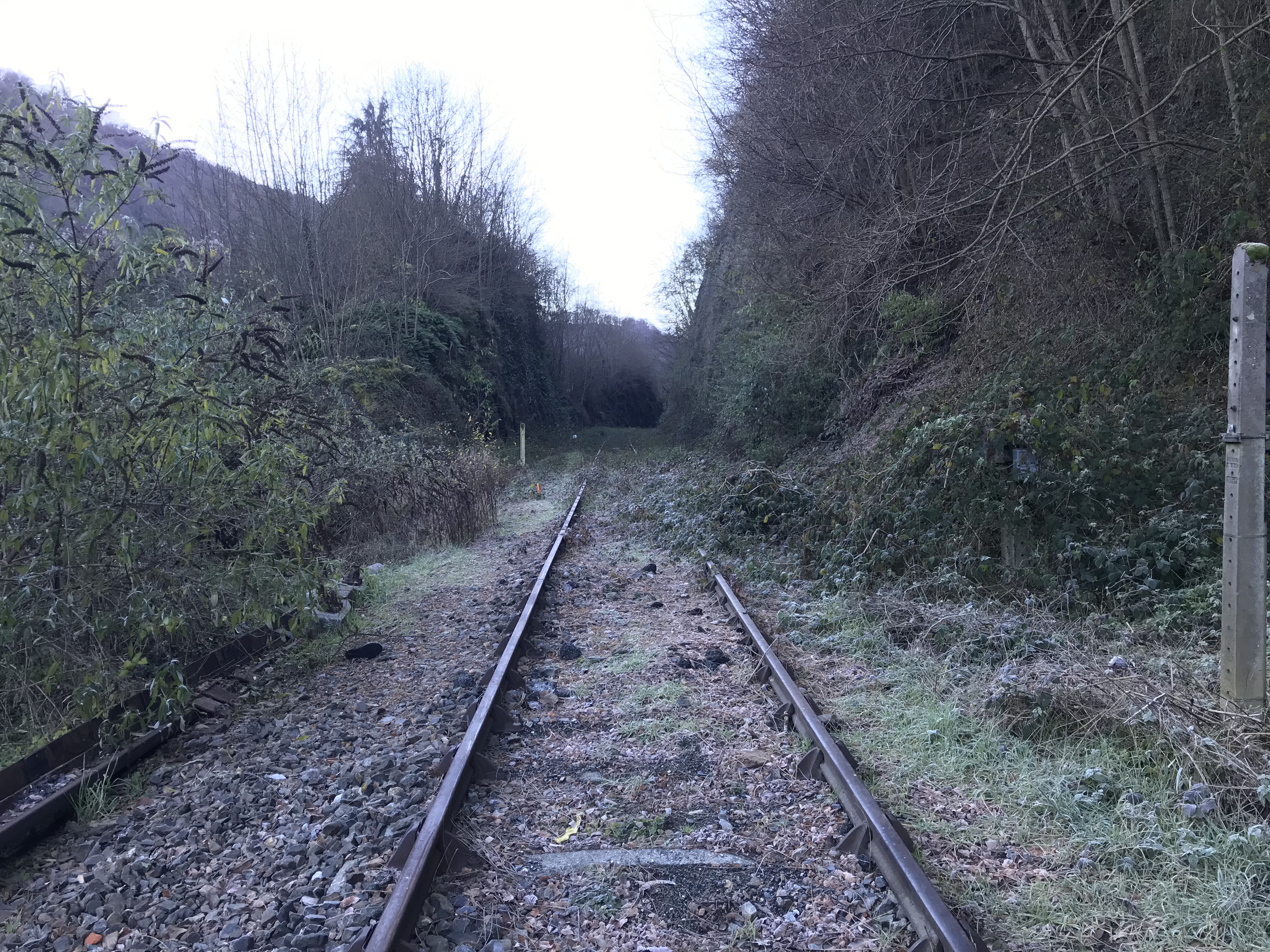 Le train entre Luchon et Montréjeau finalement en mai 2025