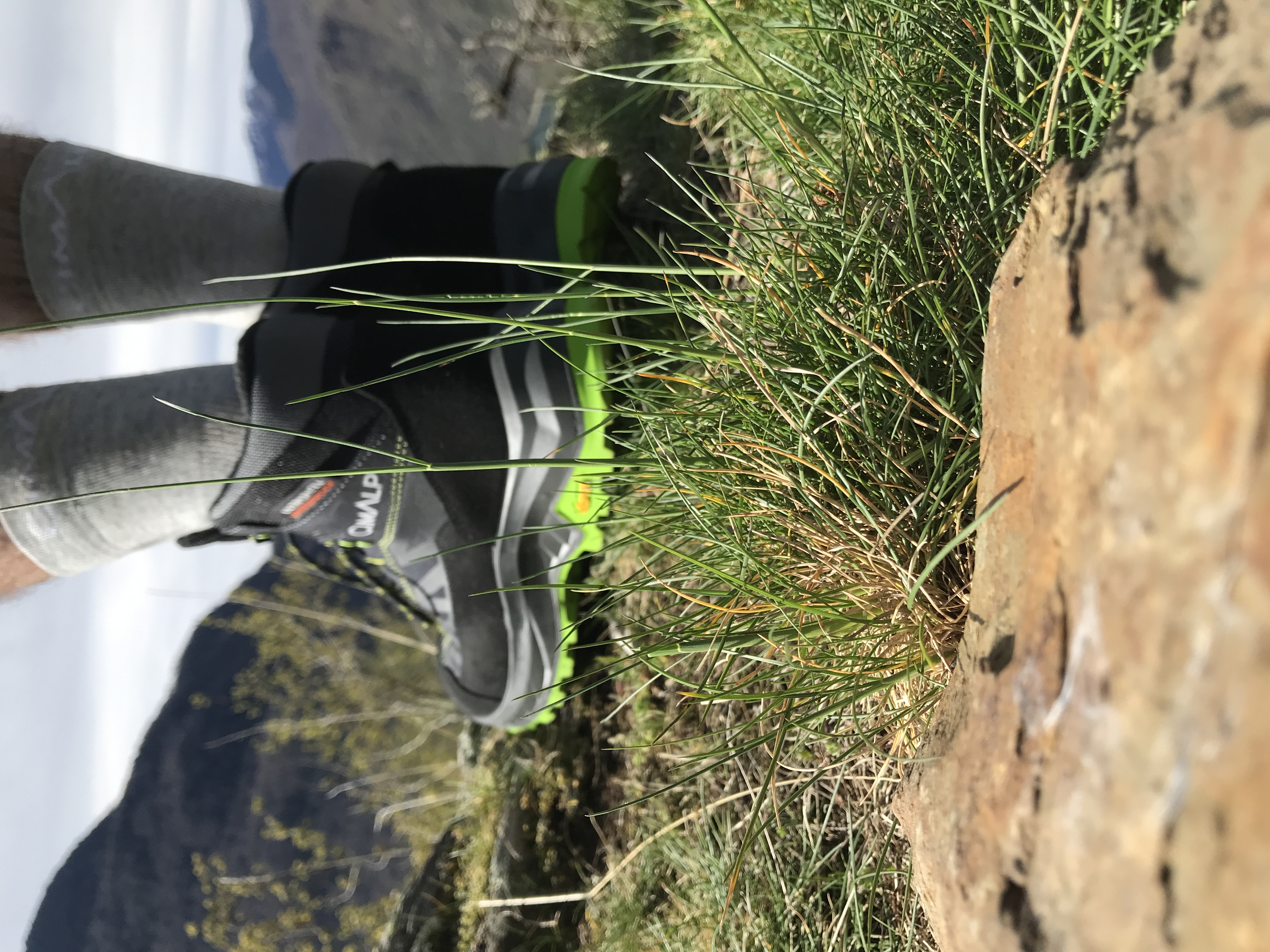 Pourquoi choisir la Barral de Cimalp pour vos randonnées de printemps ?