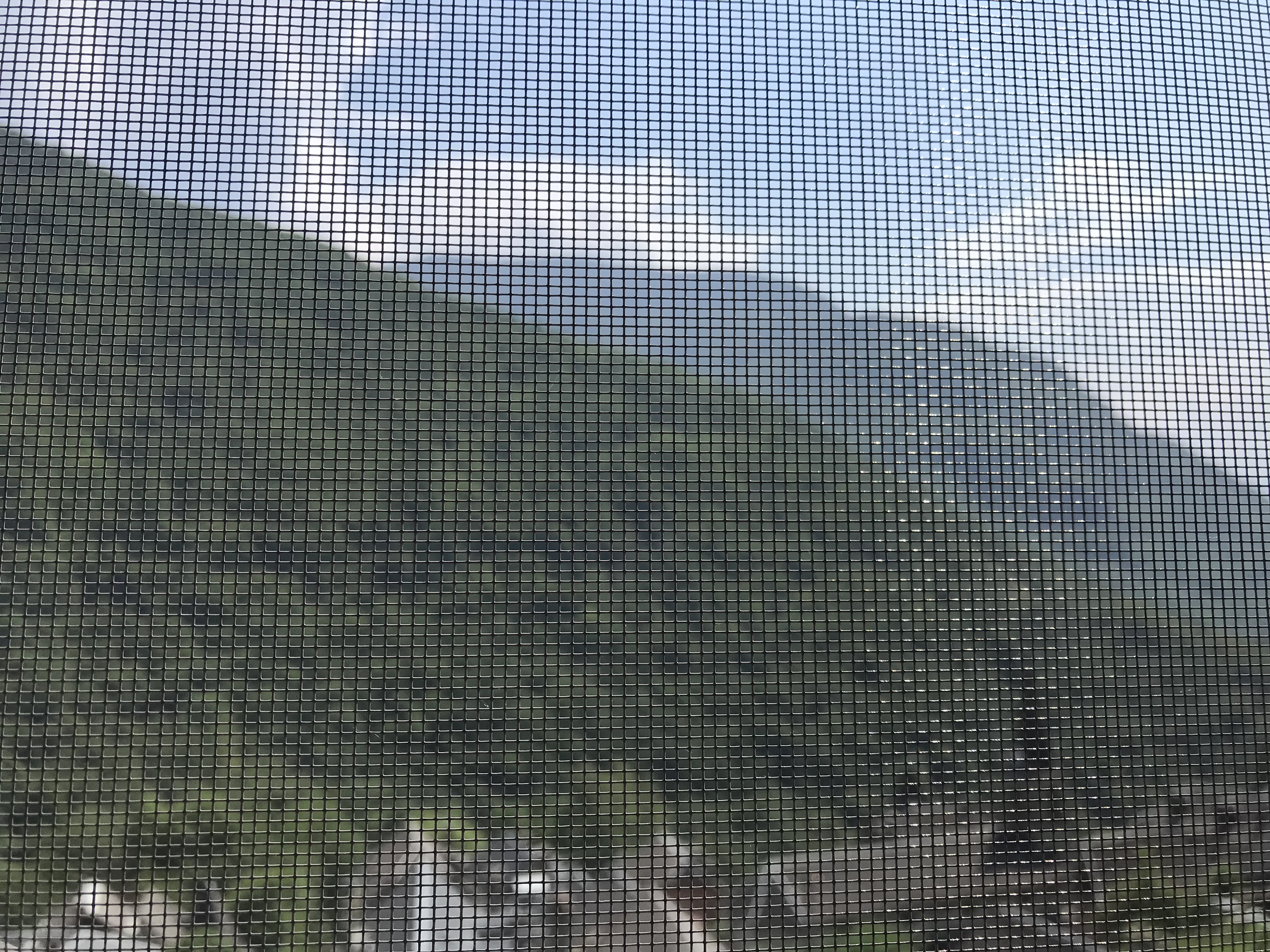 Comment équiper sa maison ou son appartement de moustiquaires ?