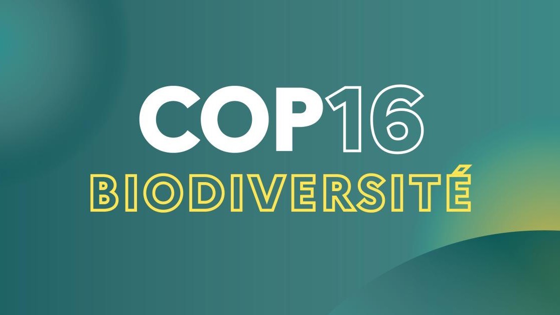 La COP16 biodiversité entre espoirs et déceptions