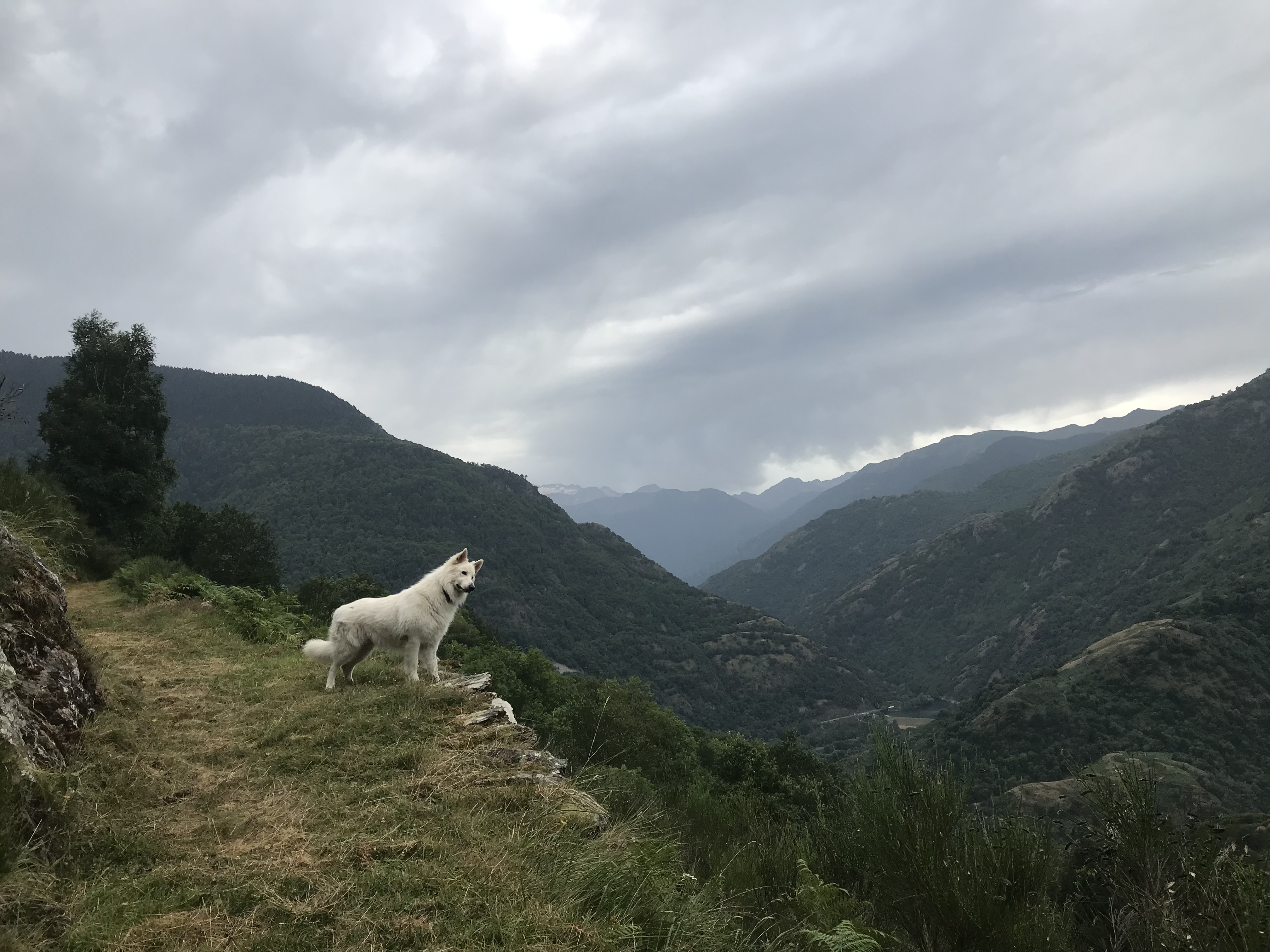 38% des Français envisageraient de vivre en montagne