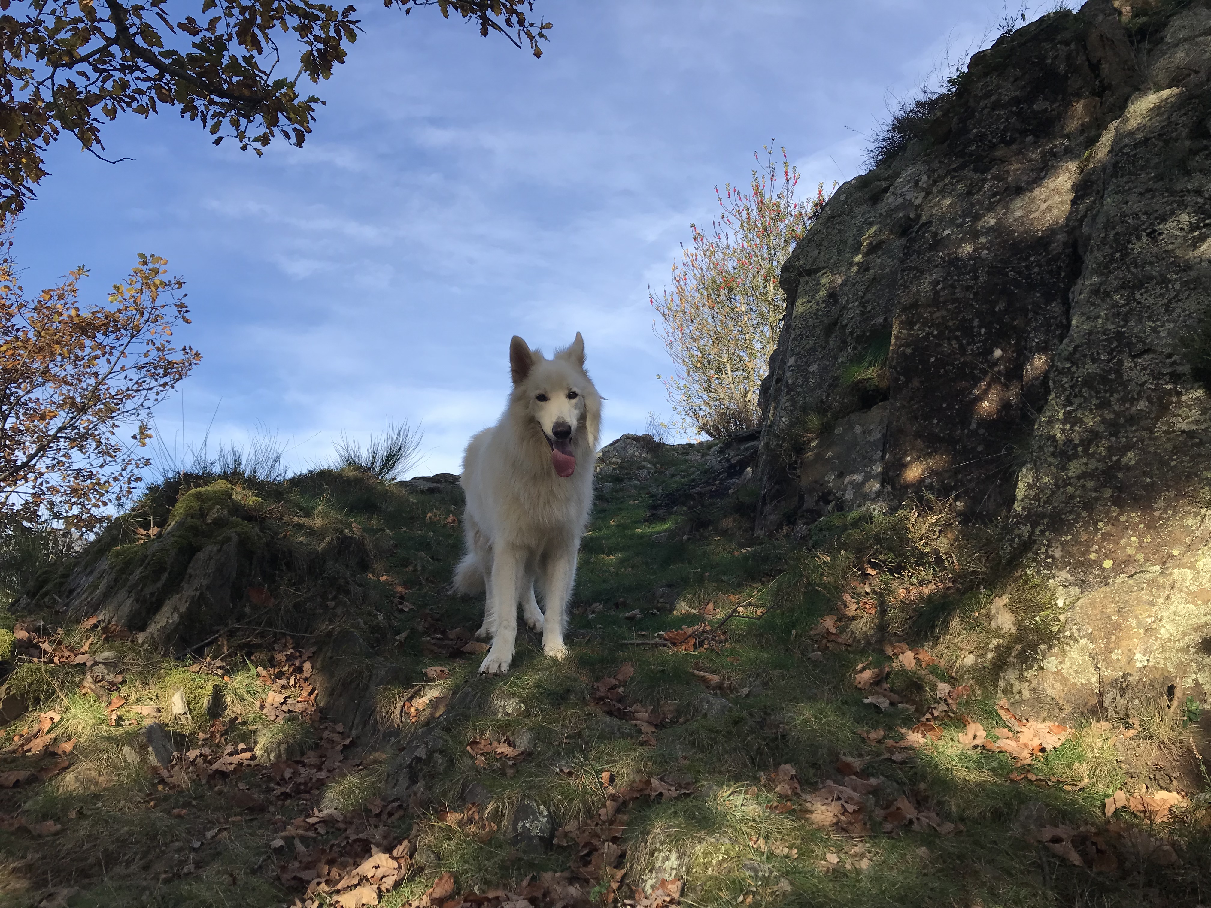 Éloge du temps lent